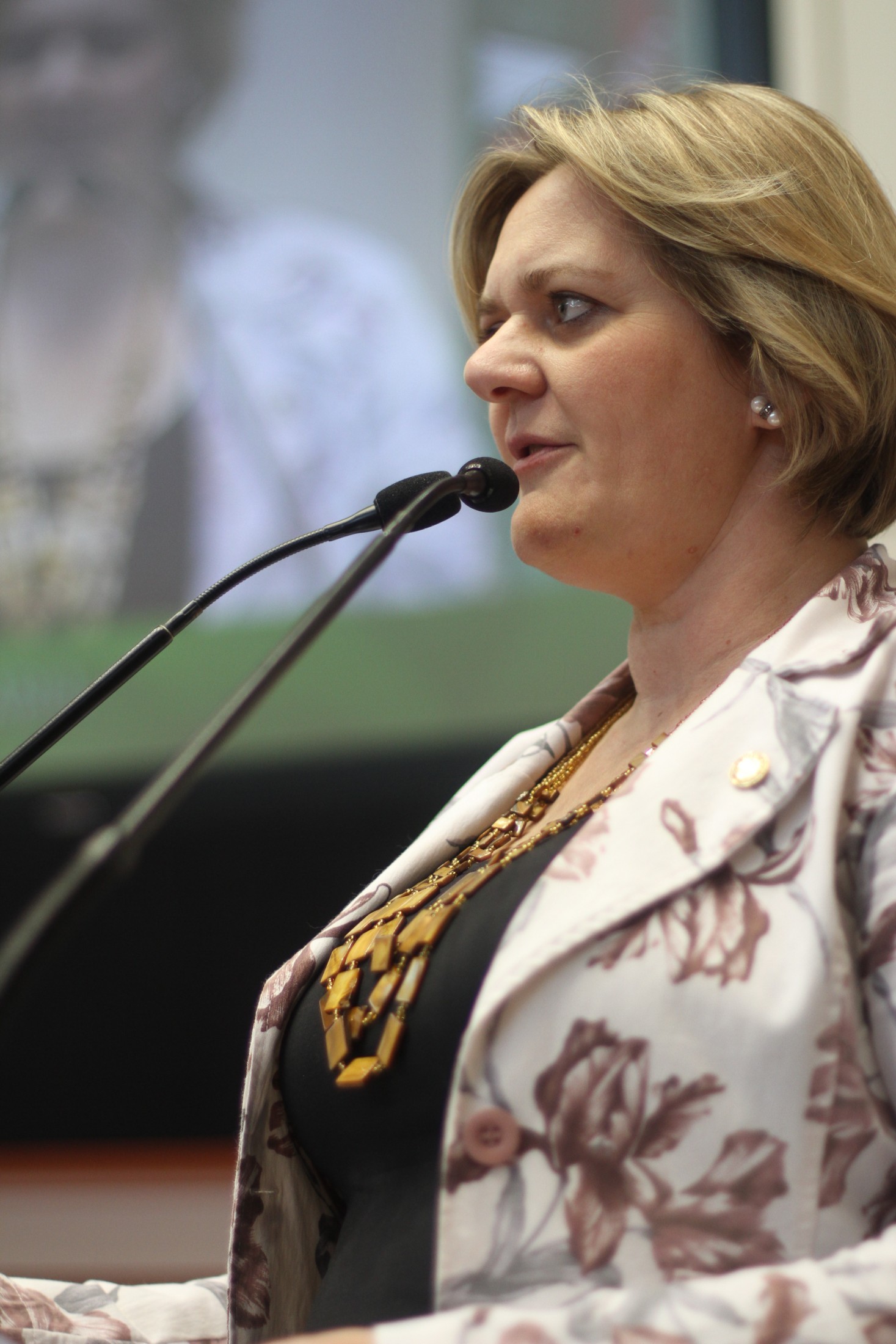 Deputada Luciane Carminatti (PT)