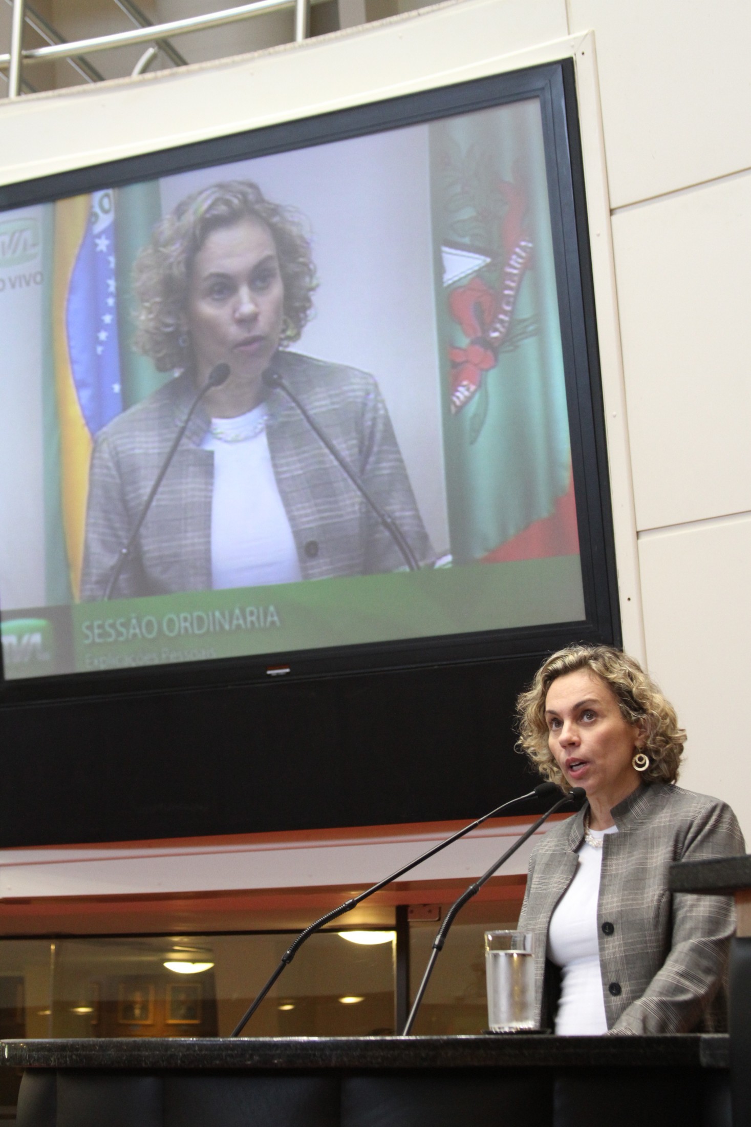 Deputada Ana Paula Lima (PT)