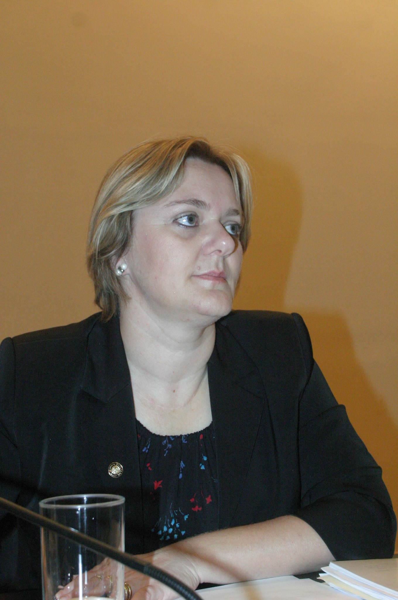 Deputada Luciane Carminatti (PT)