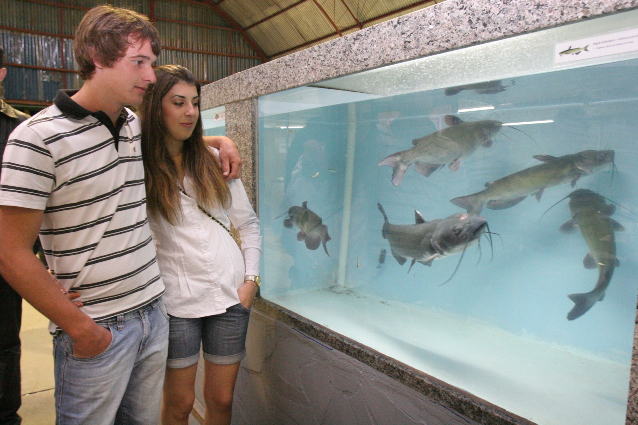 Piscicultura é destaque na Efapi 2011