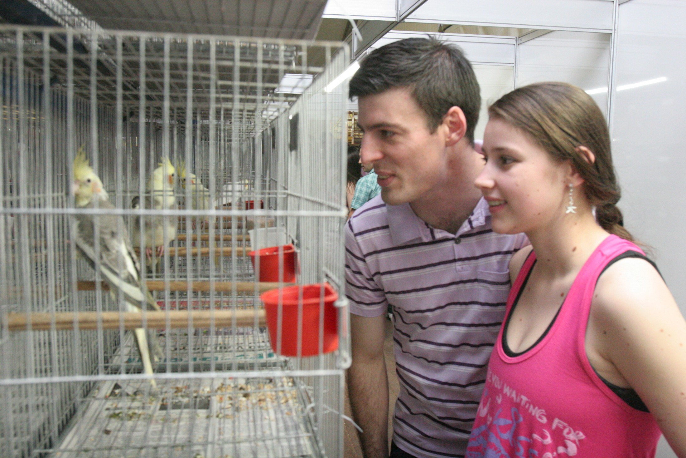 Sociedade de ornitologia expõe aves exóticas