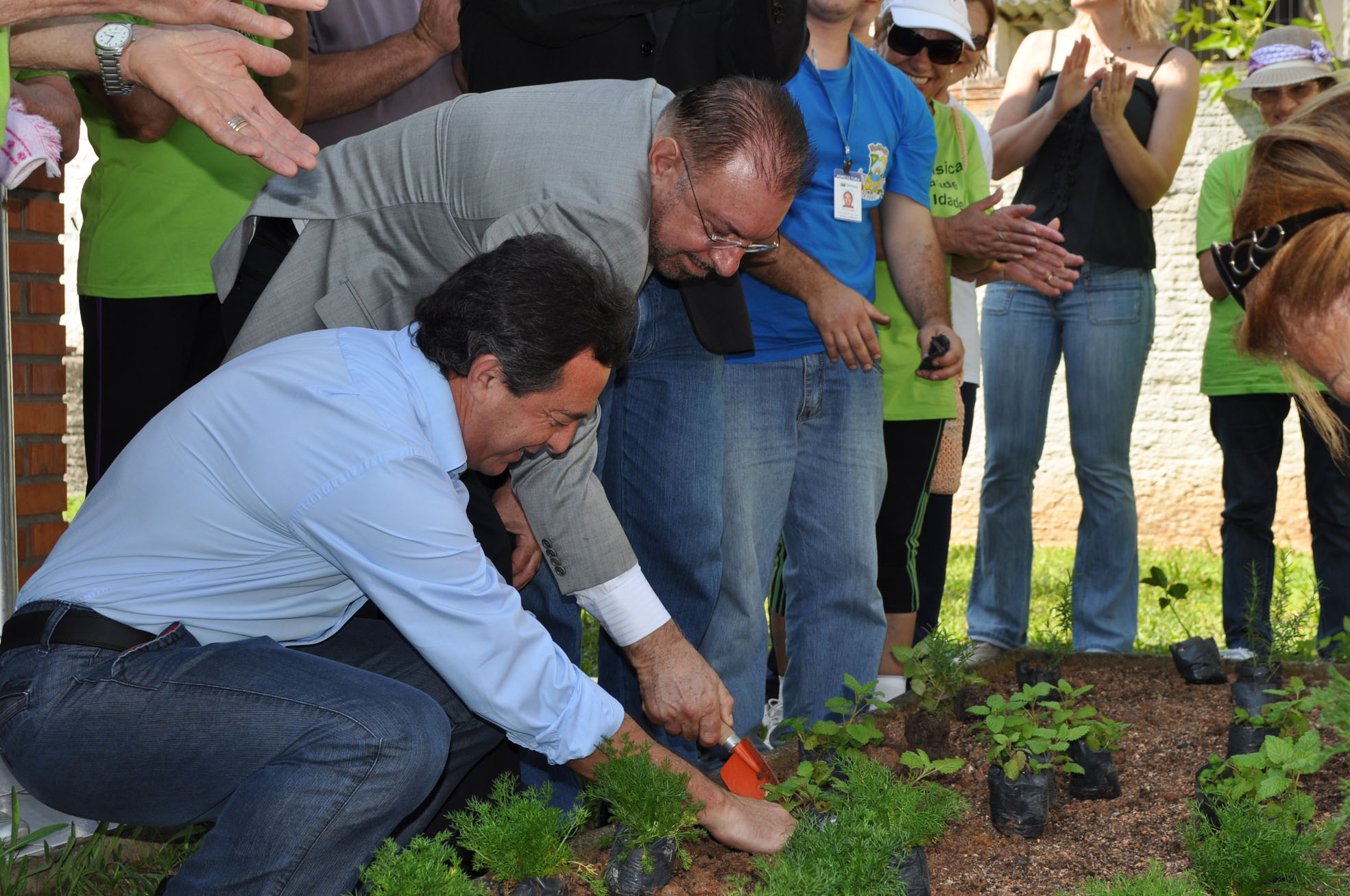 Lançamento do programa de planta medicinais