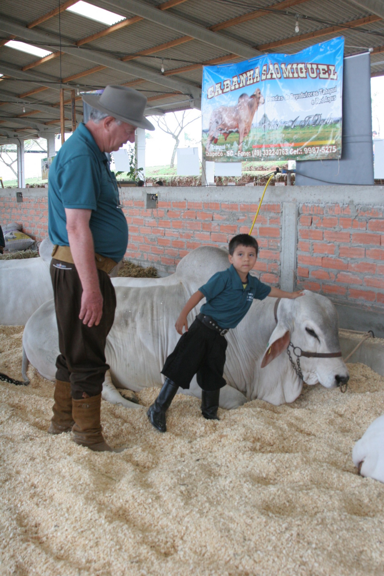 Final do Campeonato de Gado de Leite e Gado de Corte -