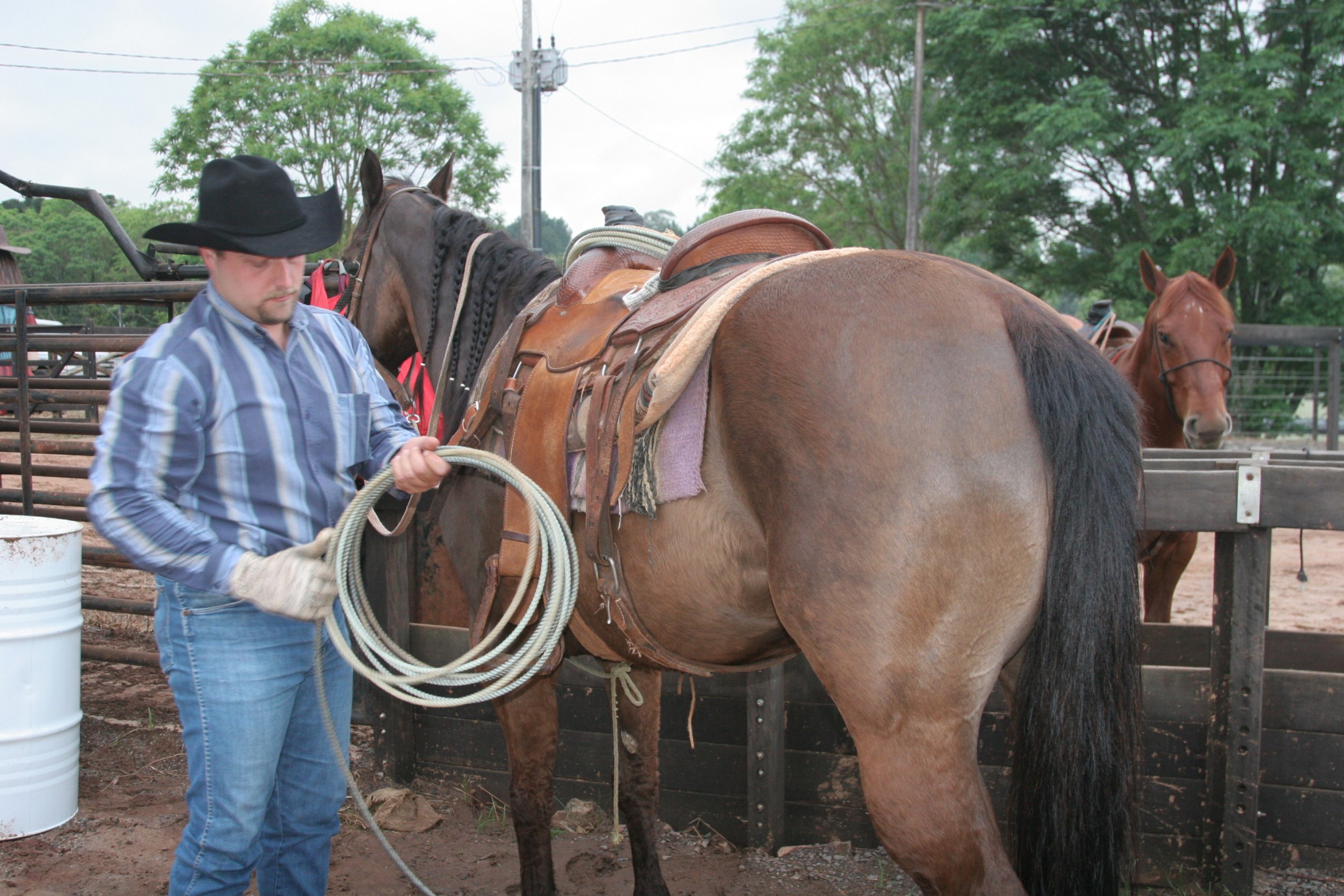 Preparativos para o IV Rodeio Country