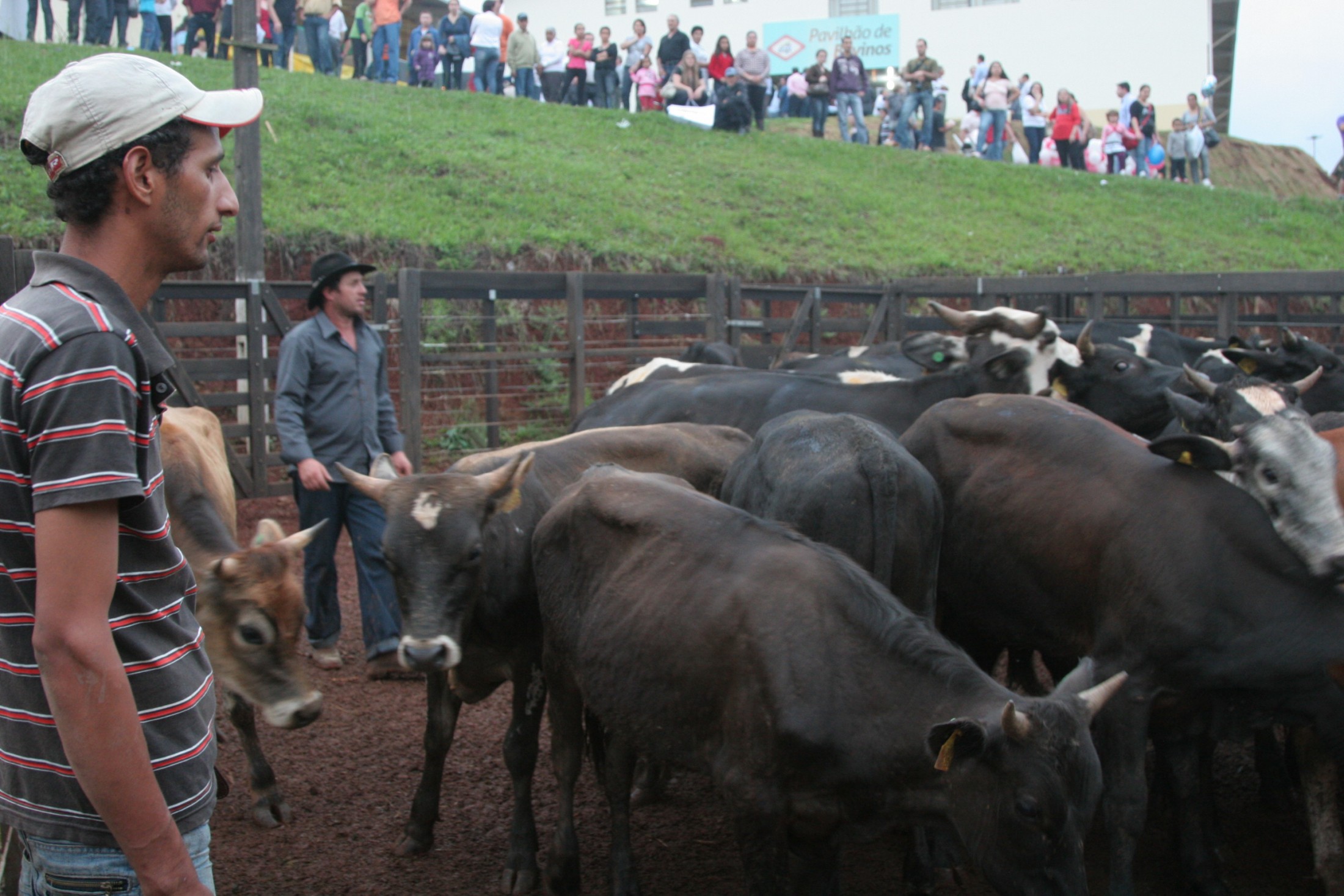 Preparativos para o IV Rodeio Country