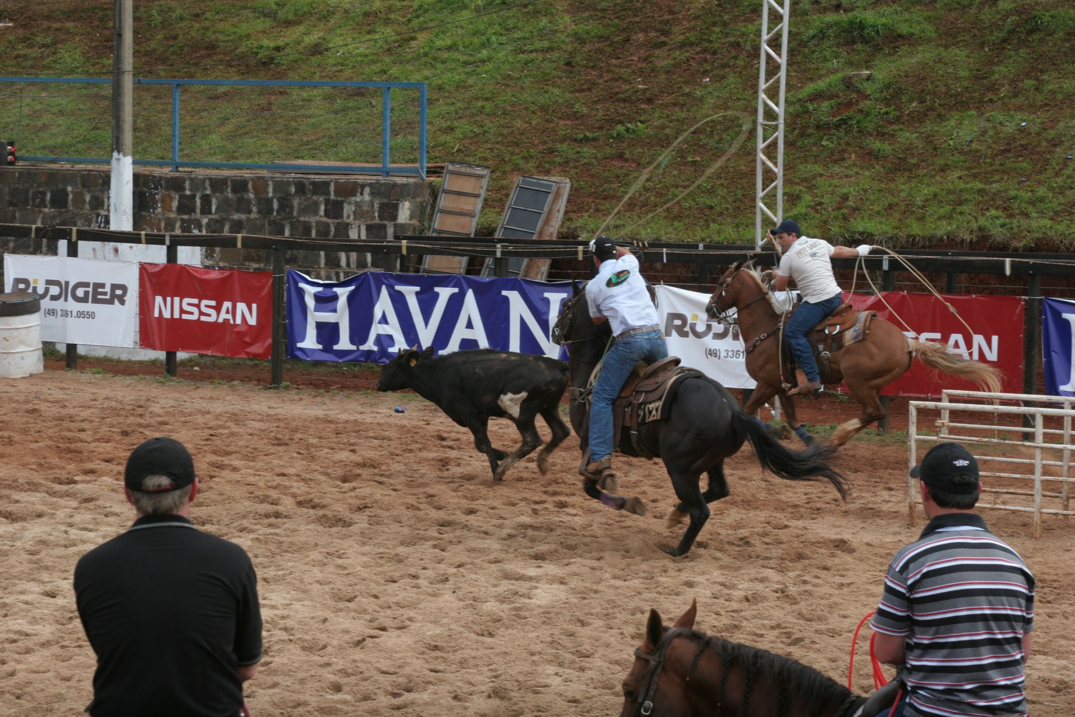 Torneio de Laço