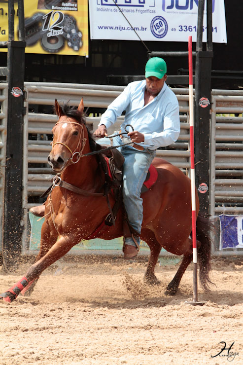 Torneio com Seis Balizas