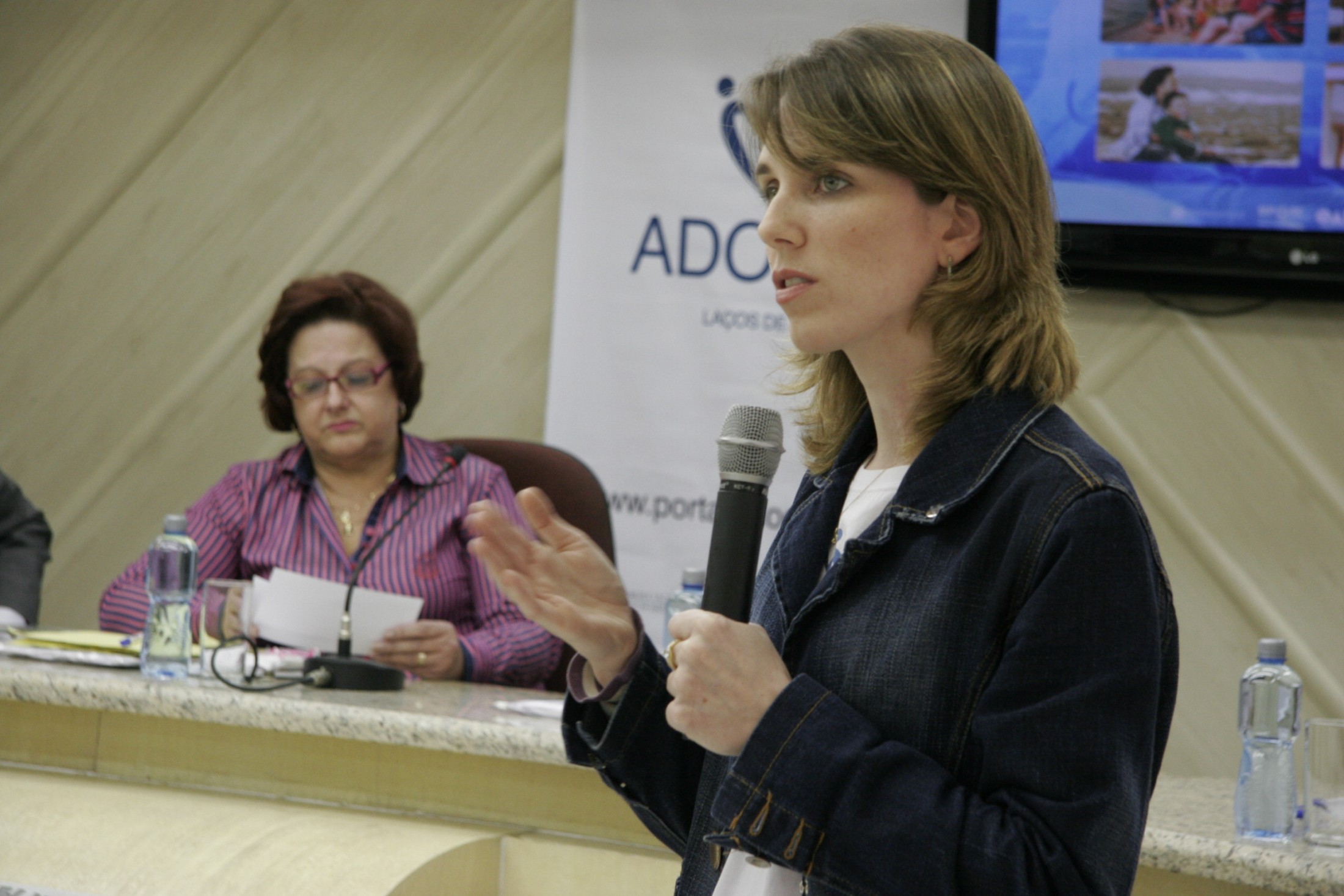 Aud.Pública – Processos de Adoção no Estado de SC
