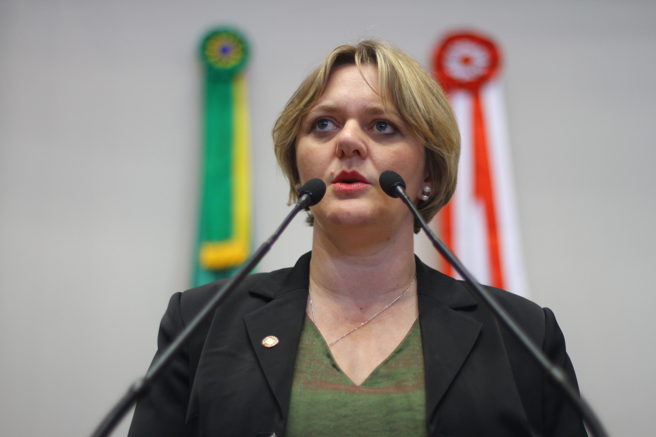Deputada Luciane Carminatti (PT)