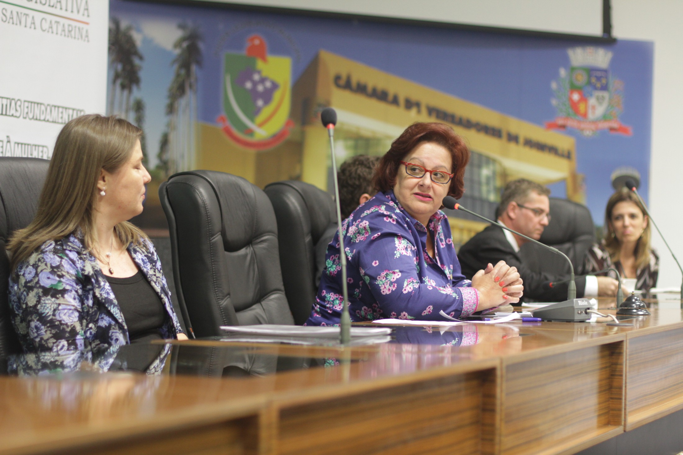 Adoção Joinville - Visita e Audiência