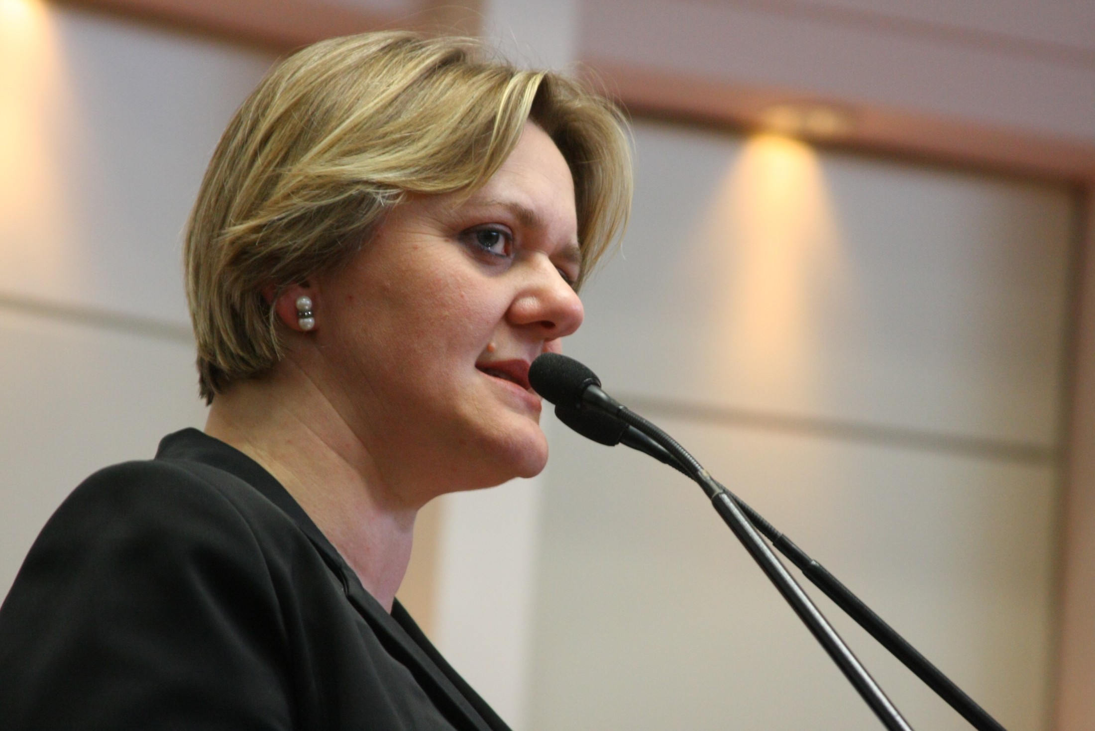 Deputada Luciane Carminatti (PT)