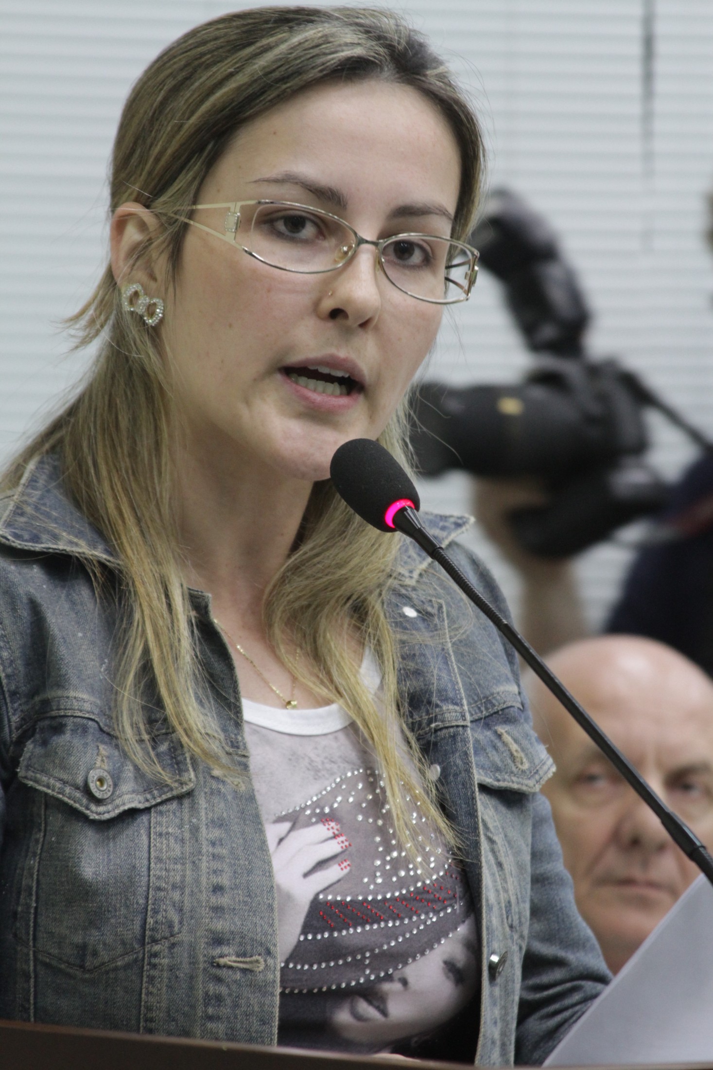 Audiência Pública - Rodovia Jacob Westrup