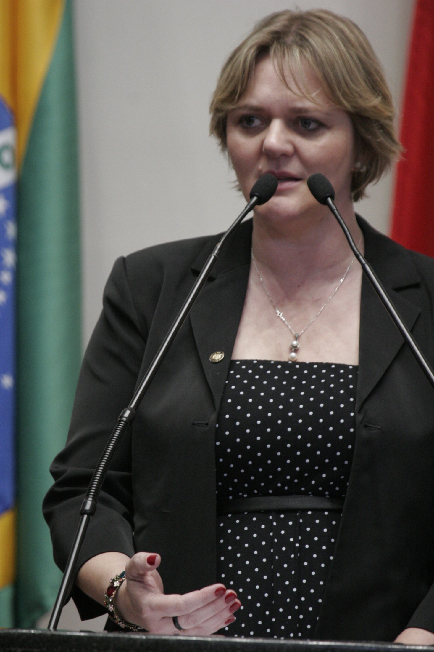 Deputada Luciane Carminatti (PT)