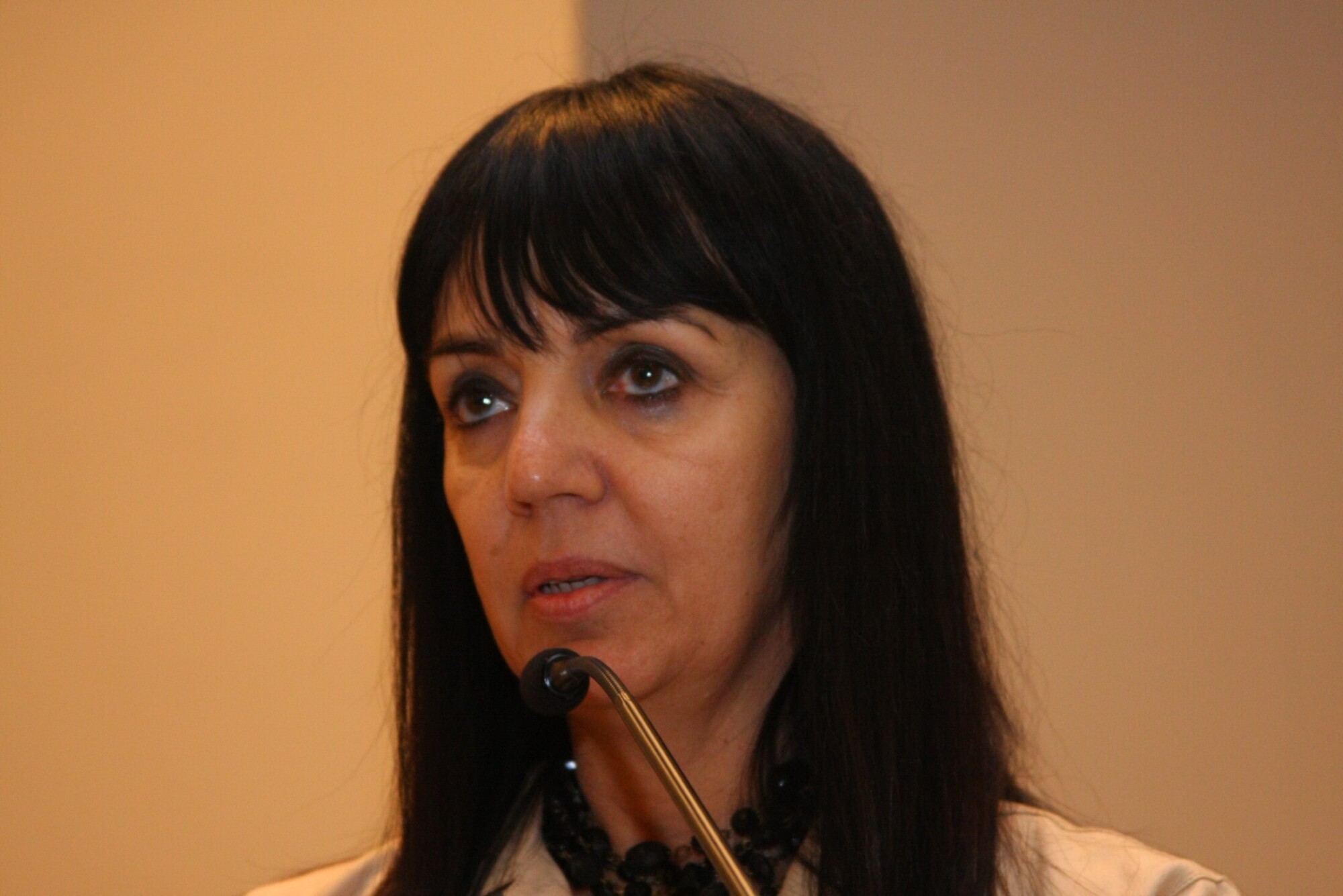 1º Congresso Internacional sobre 
