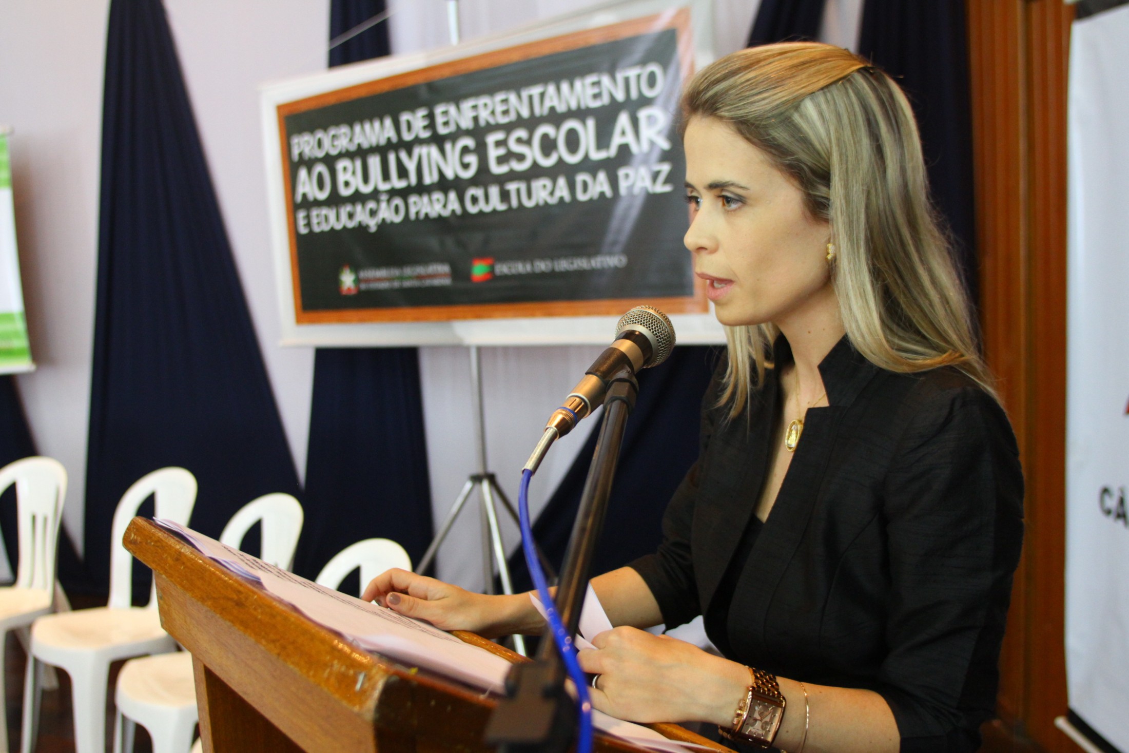 Audiência Pública – Bullying