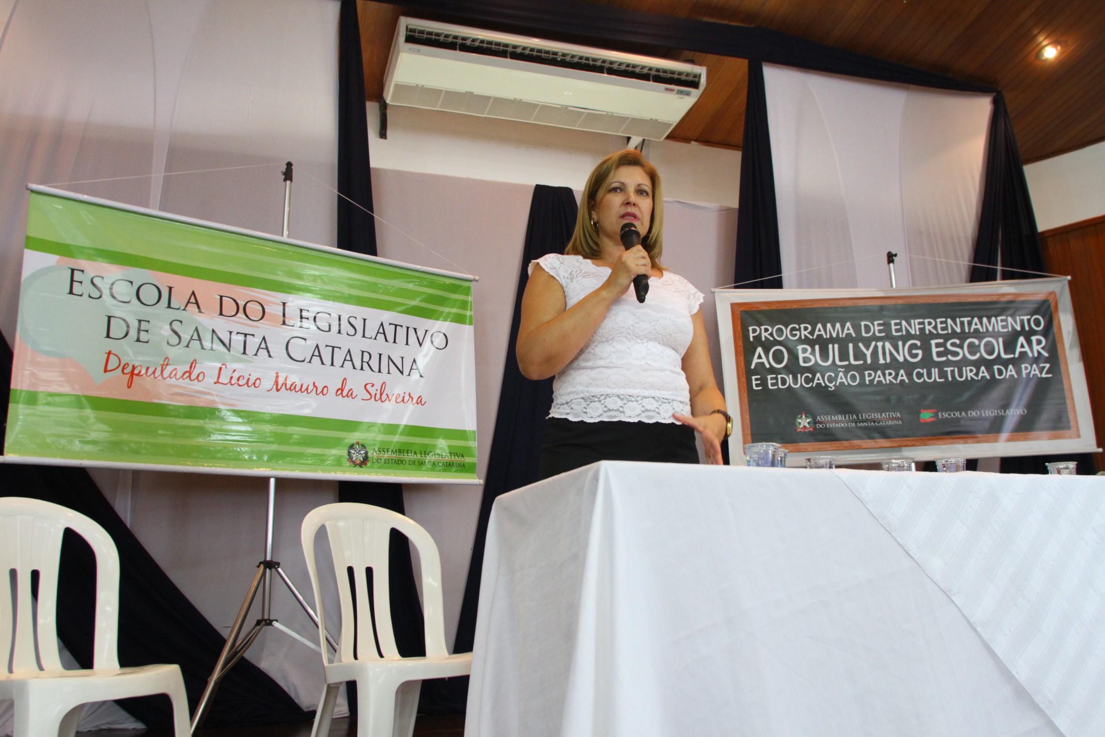 Audiência Pública - Bullying