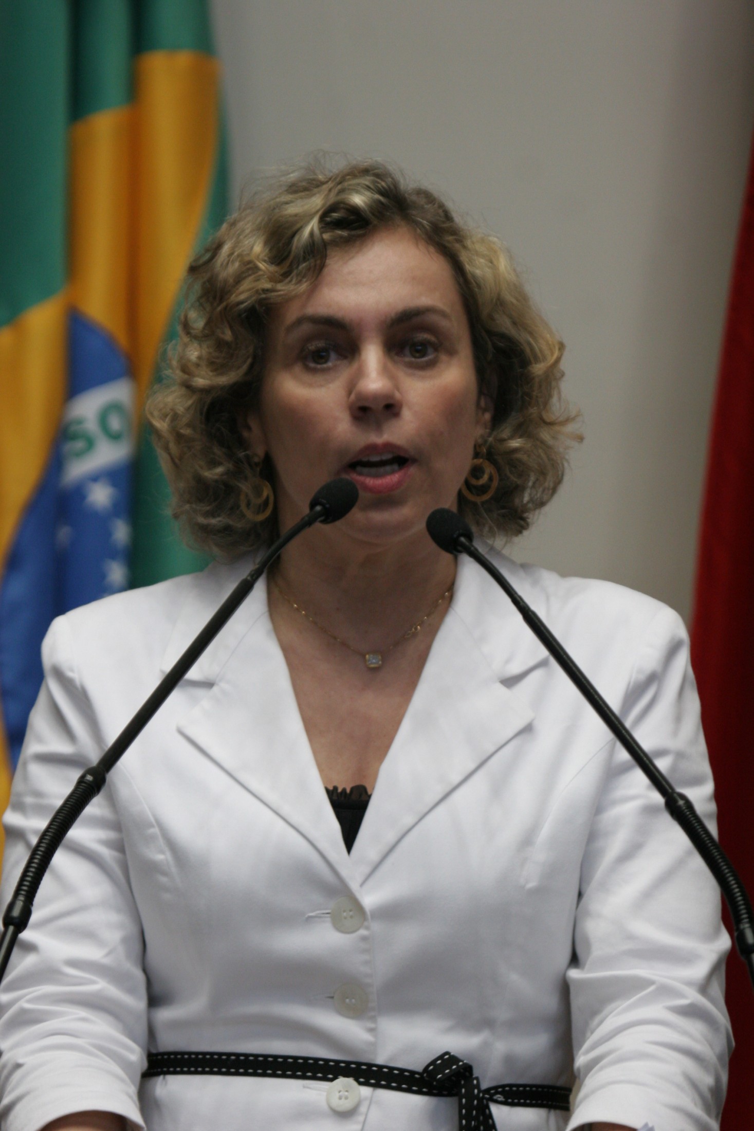 Deputada Ana Paula Lima (PT)