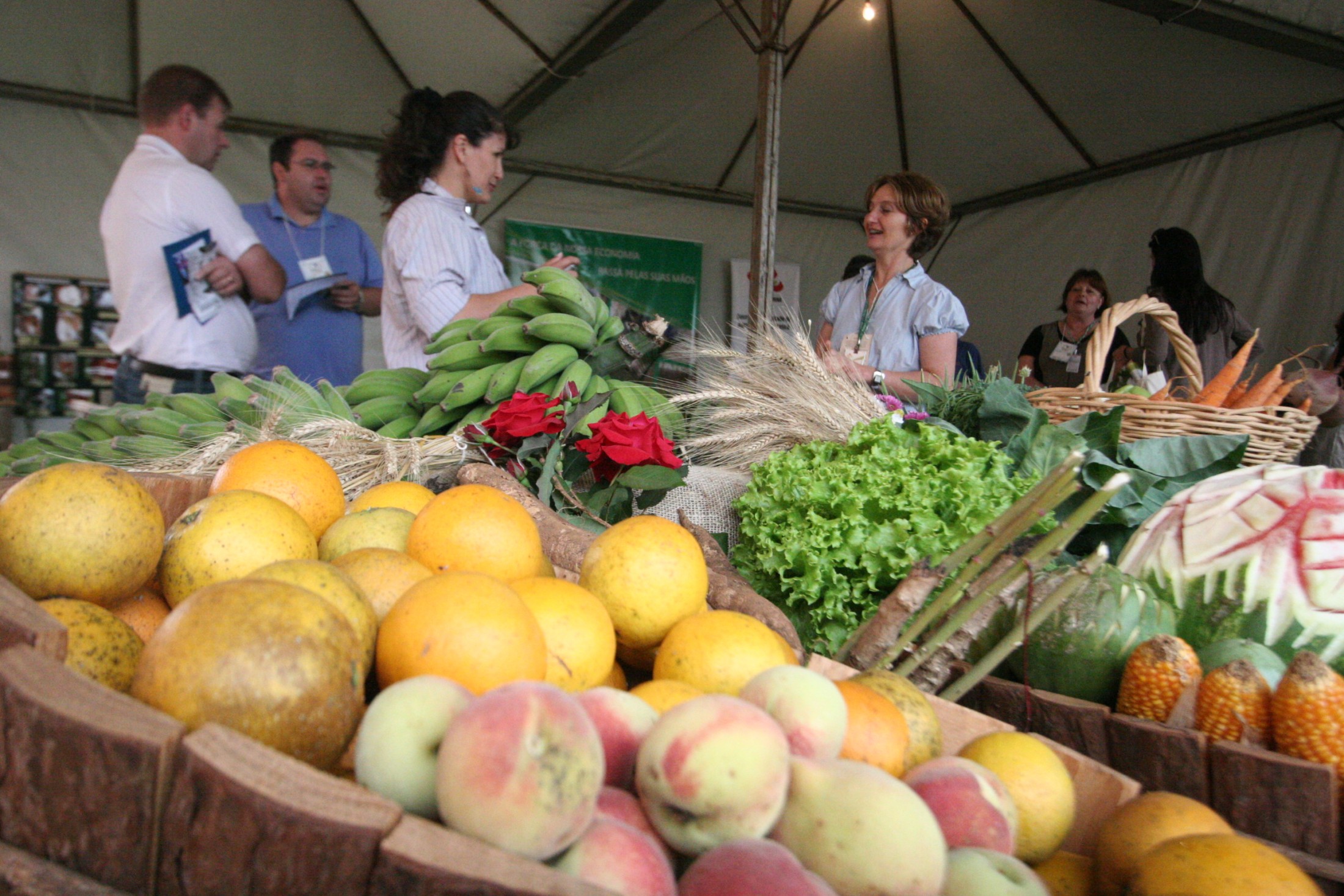 EXPO São Miguel 2011