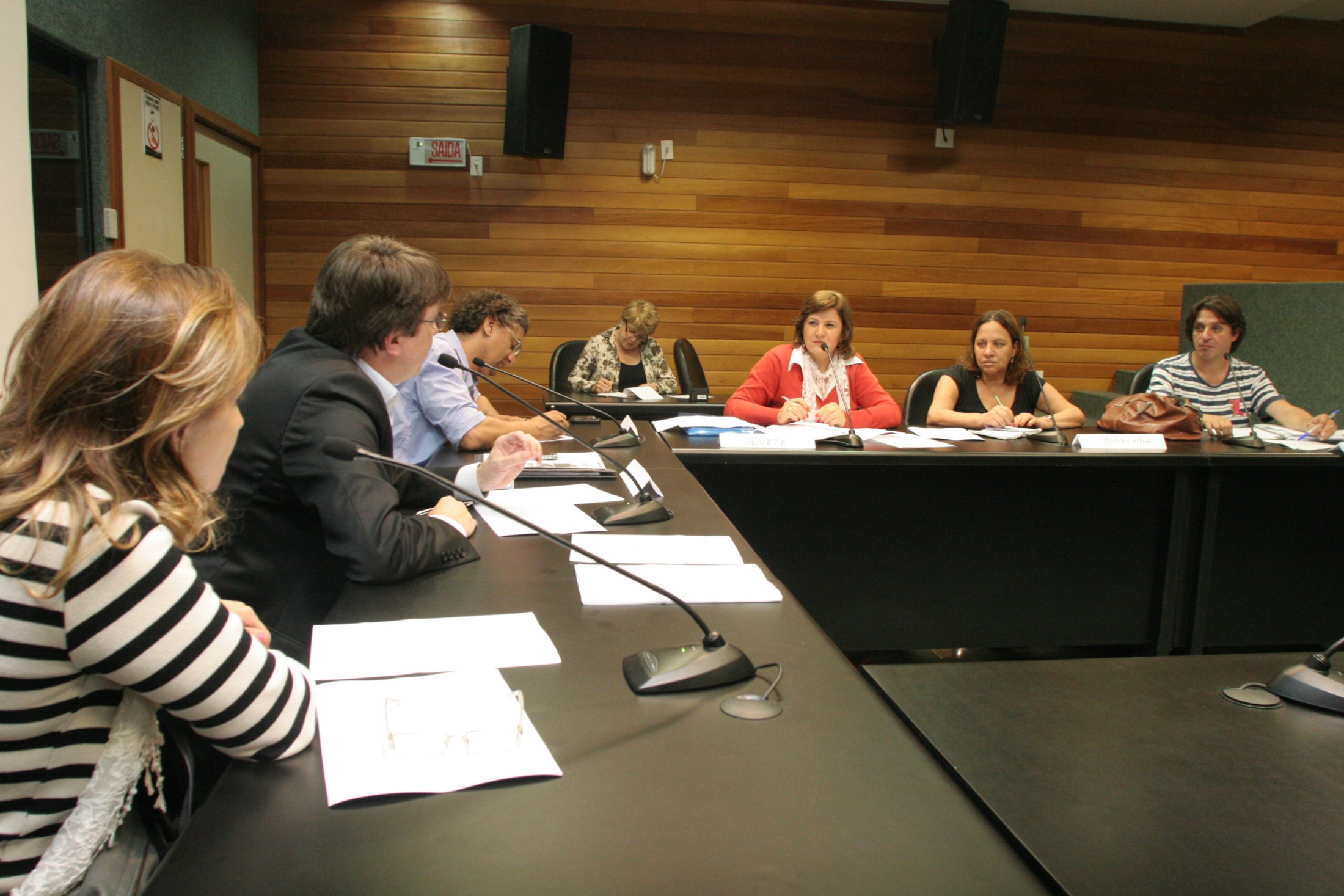 Reunião da Comissão Partidária sobre o Piso Nacional de Educação