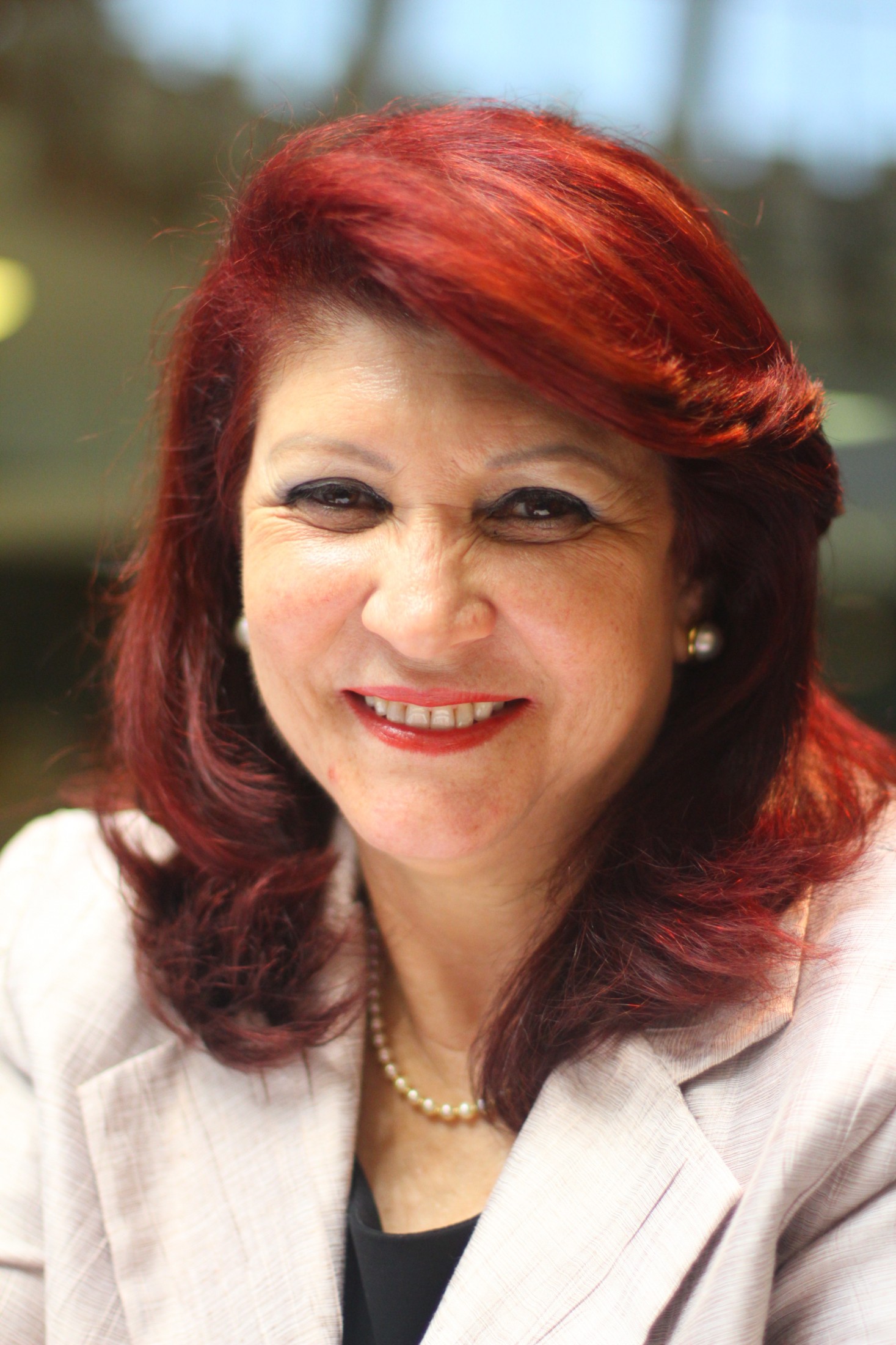 Deputada Odete de Jesus (PRB)