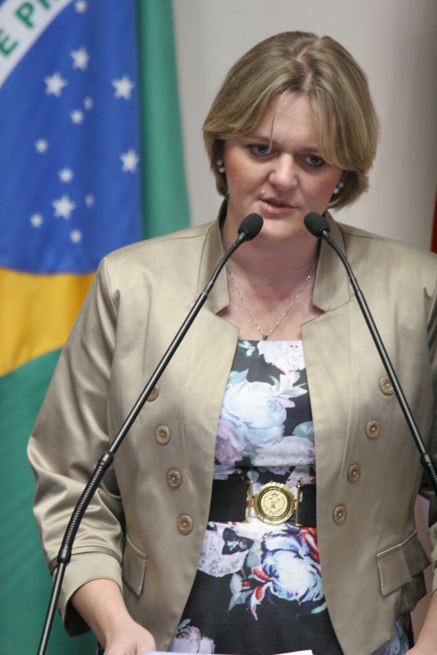 Deputada Luciane Carminatti (PT)