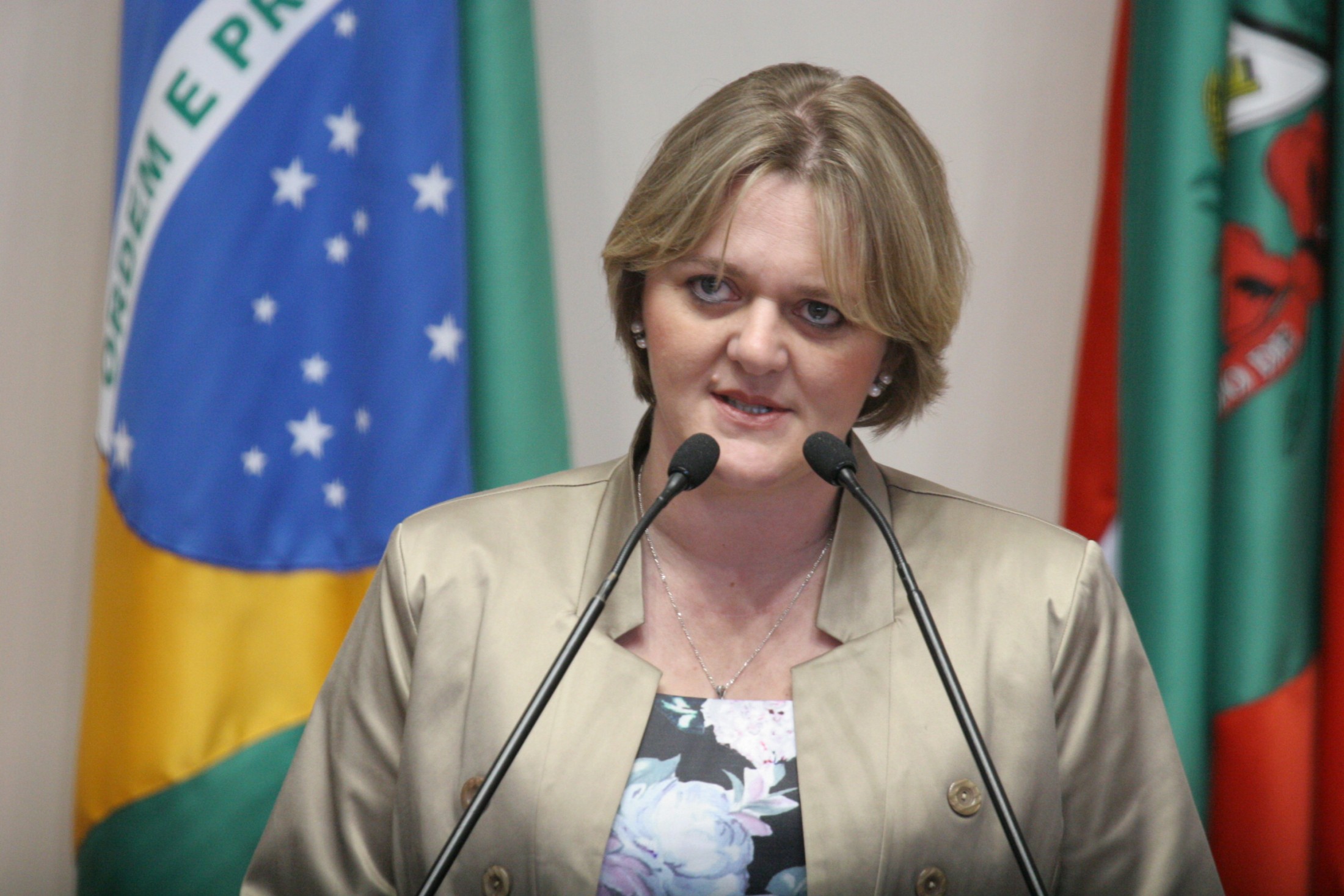 Deputada Luciane Carminatti (PT)