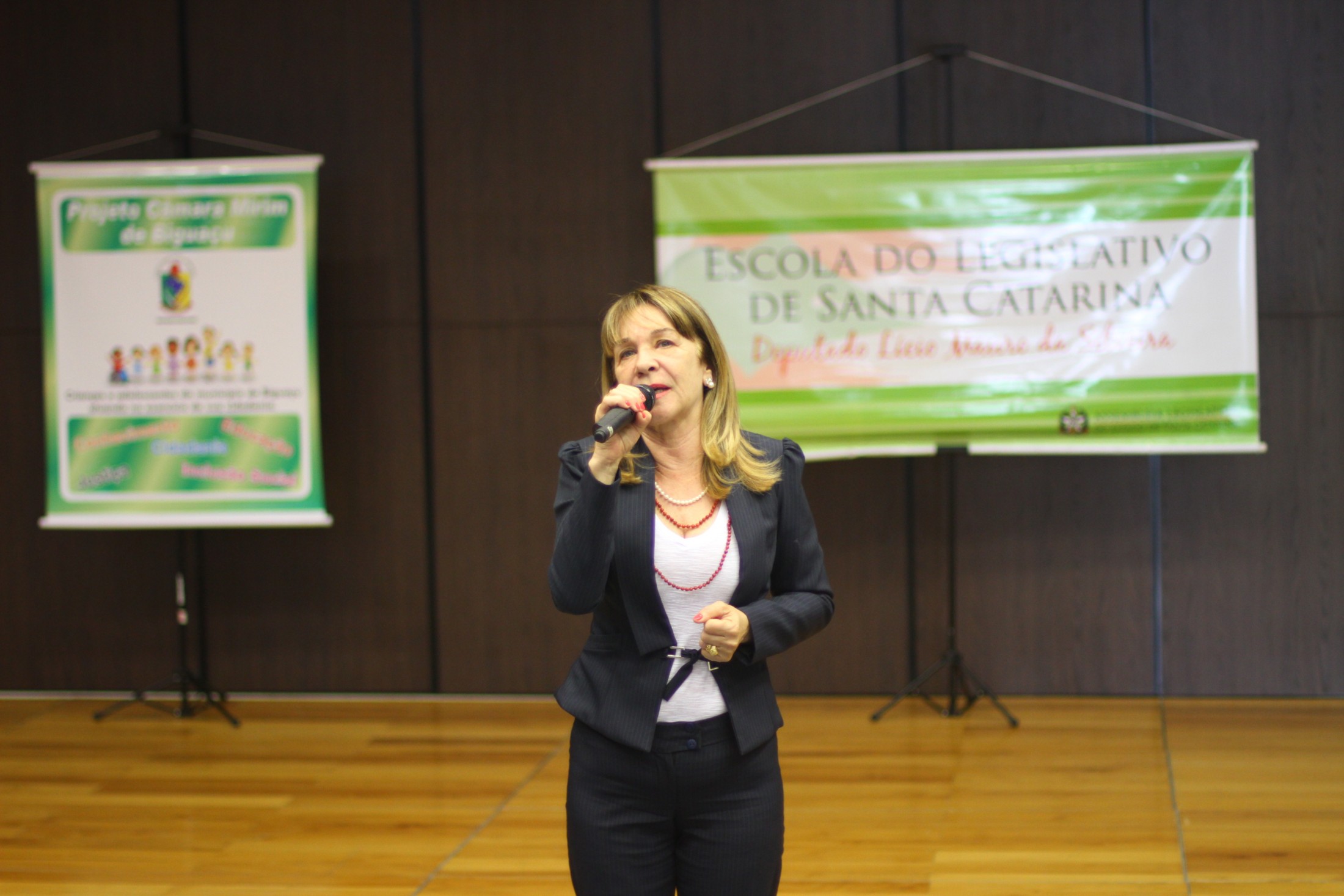 Programa Vereador Mirim