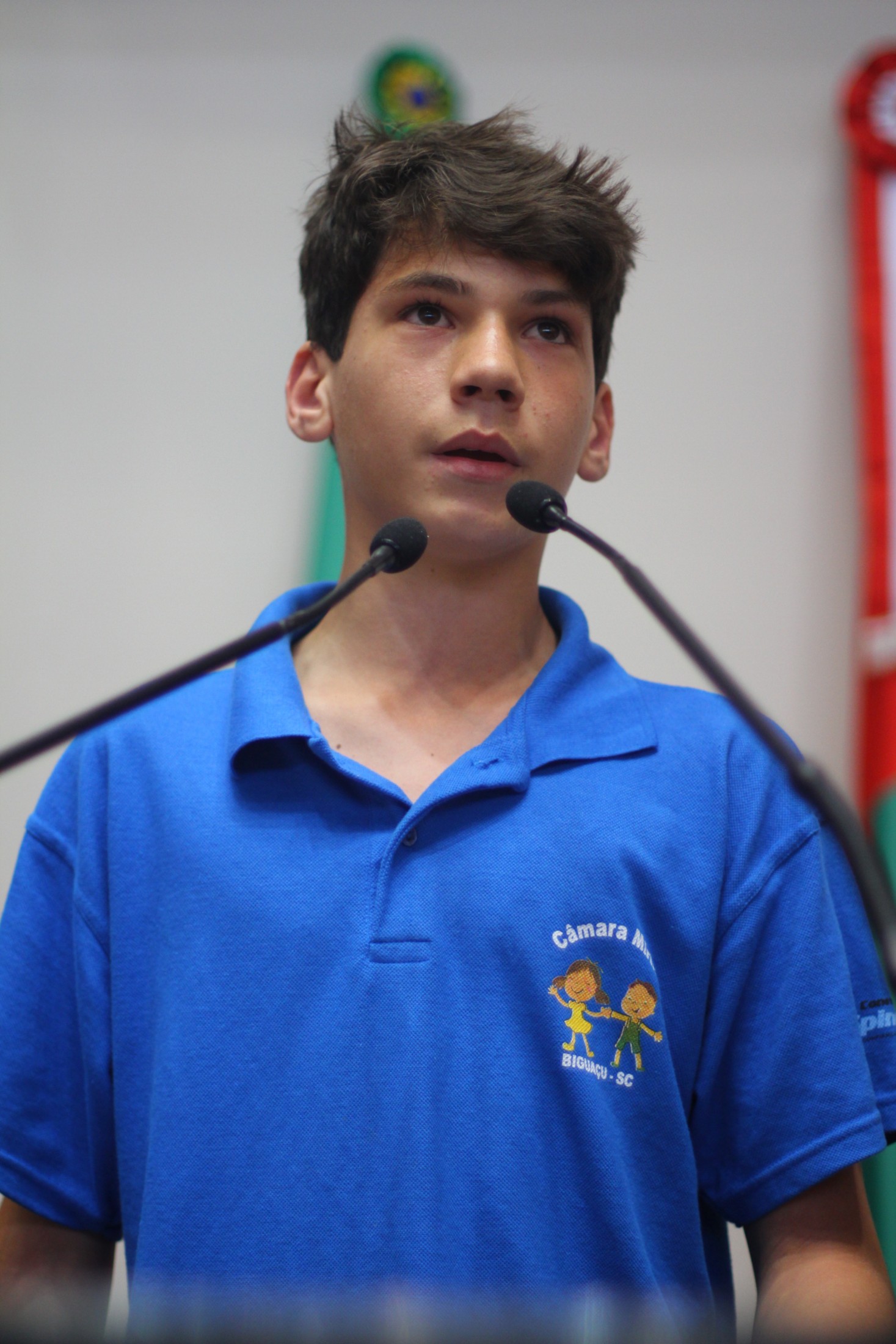 Vereadores Mirins