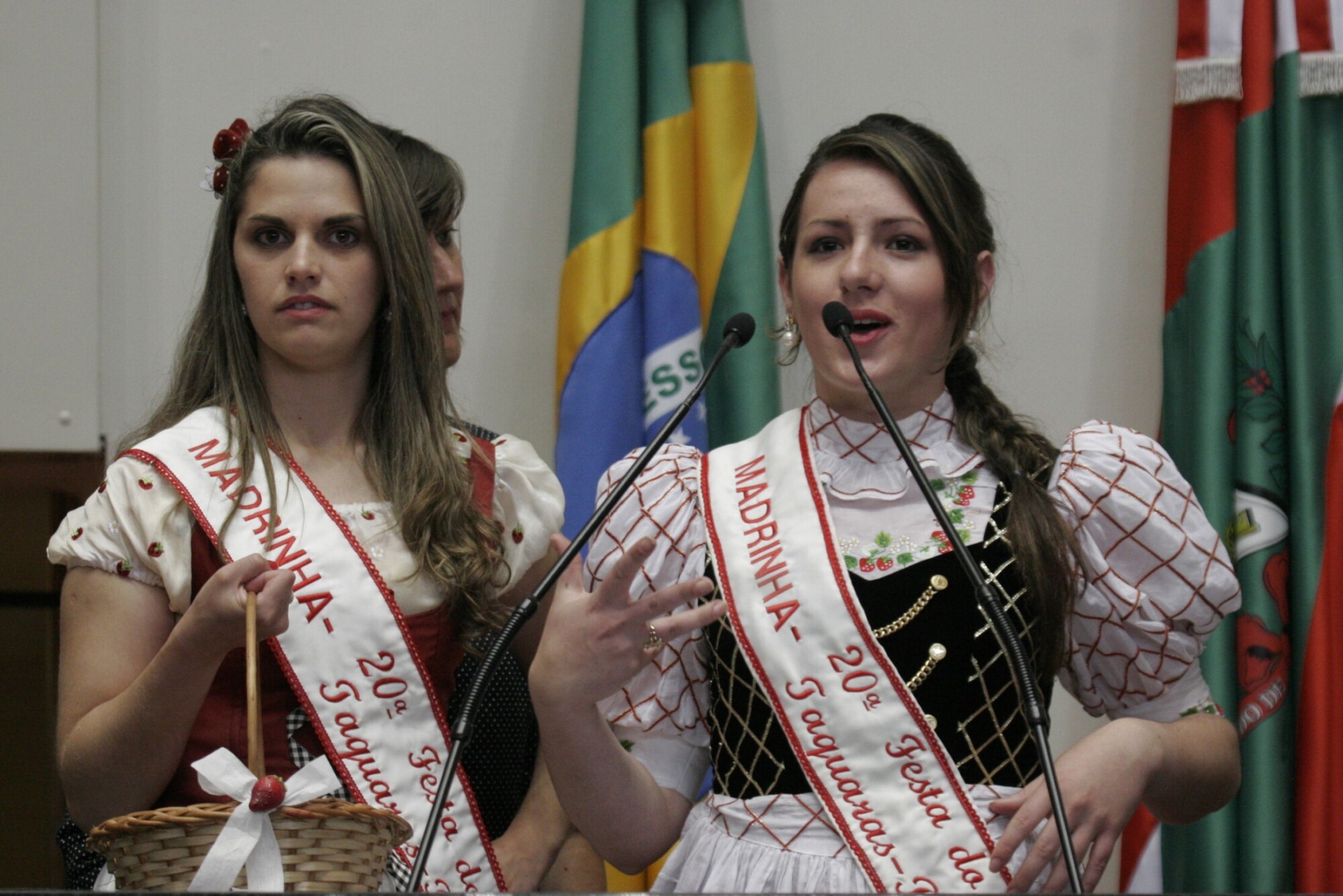 Sessão Ordinária - Plenário Osni Régis