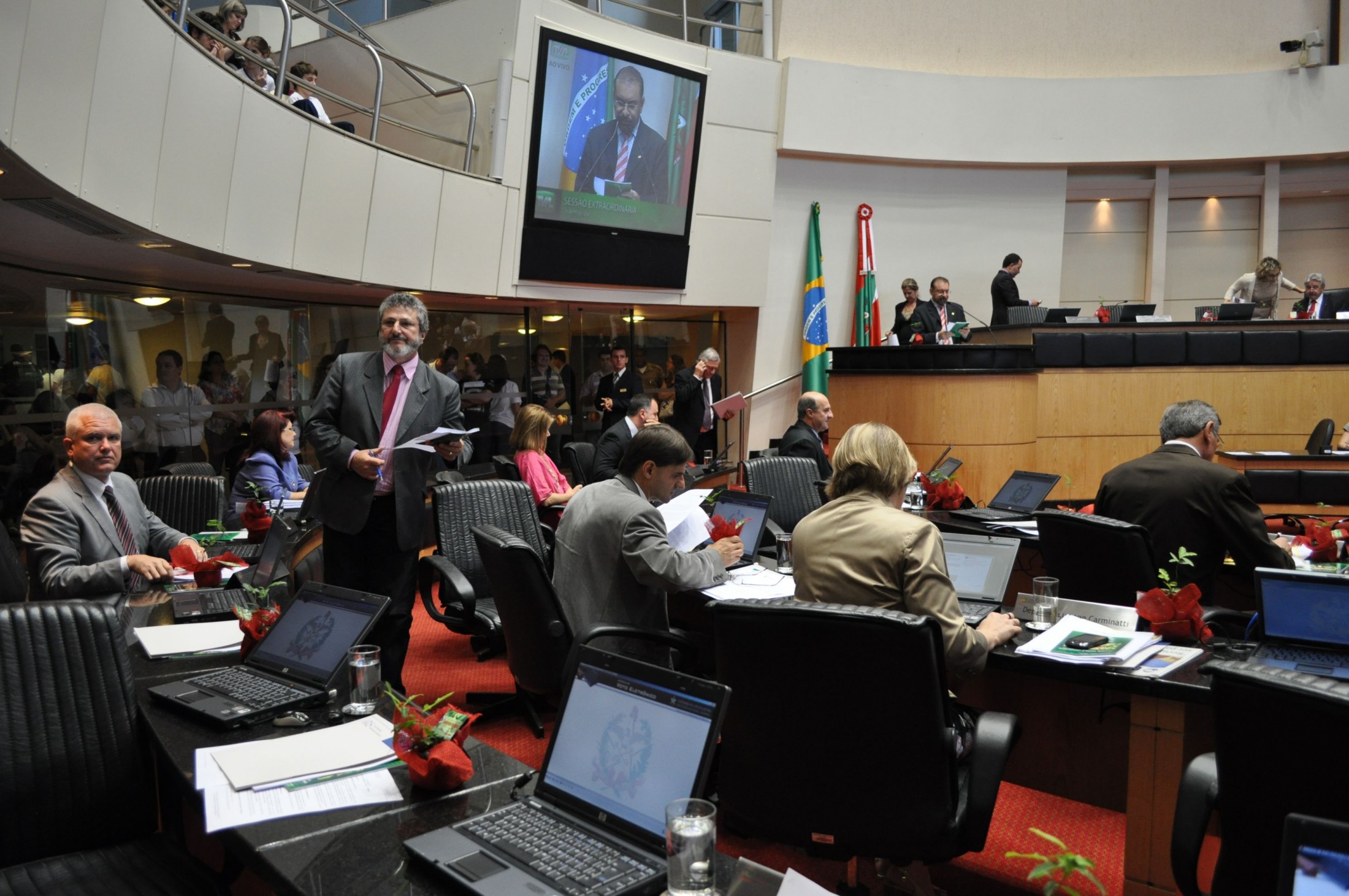 Espinheira Santa é aprovada na Alesc como planta símbolo de Santa Catarina