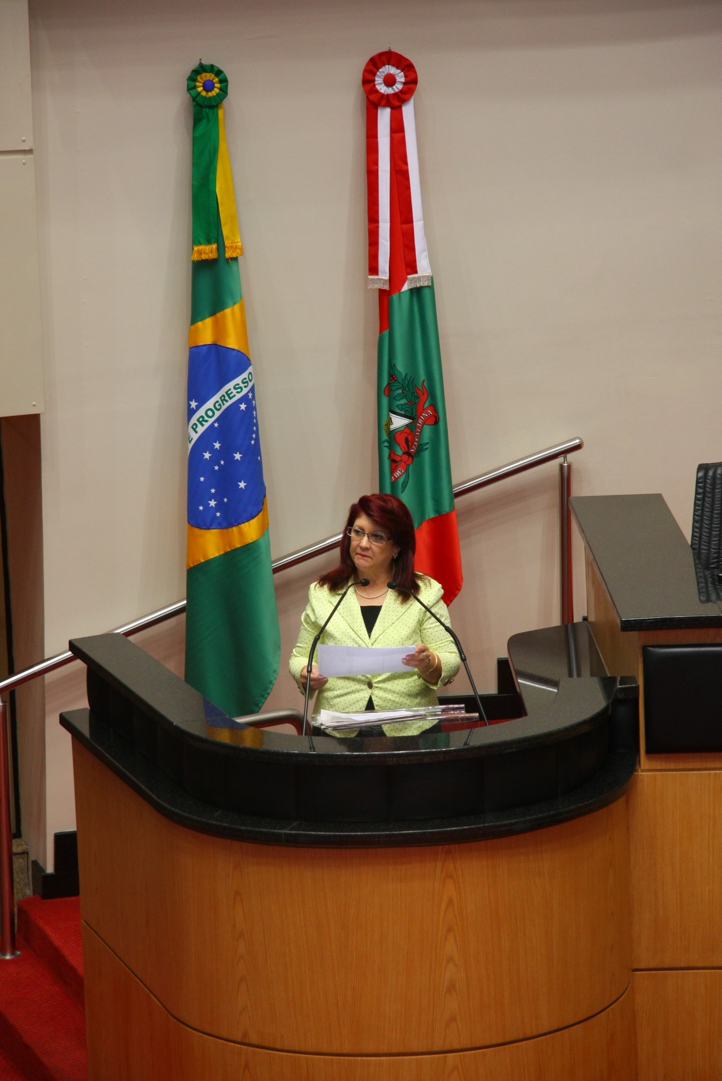 Deputada Odete de Jesus (PRB)