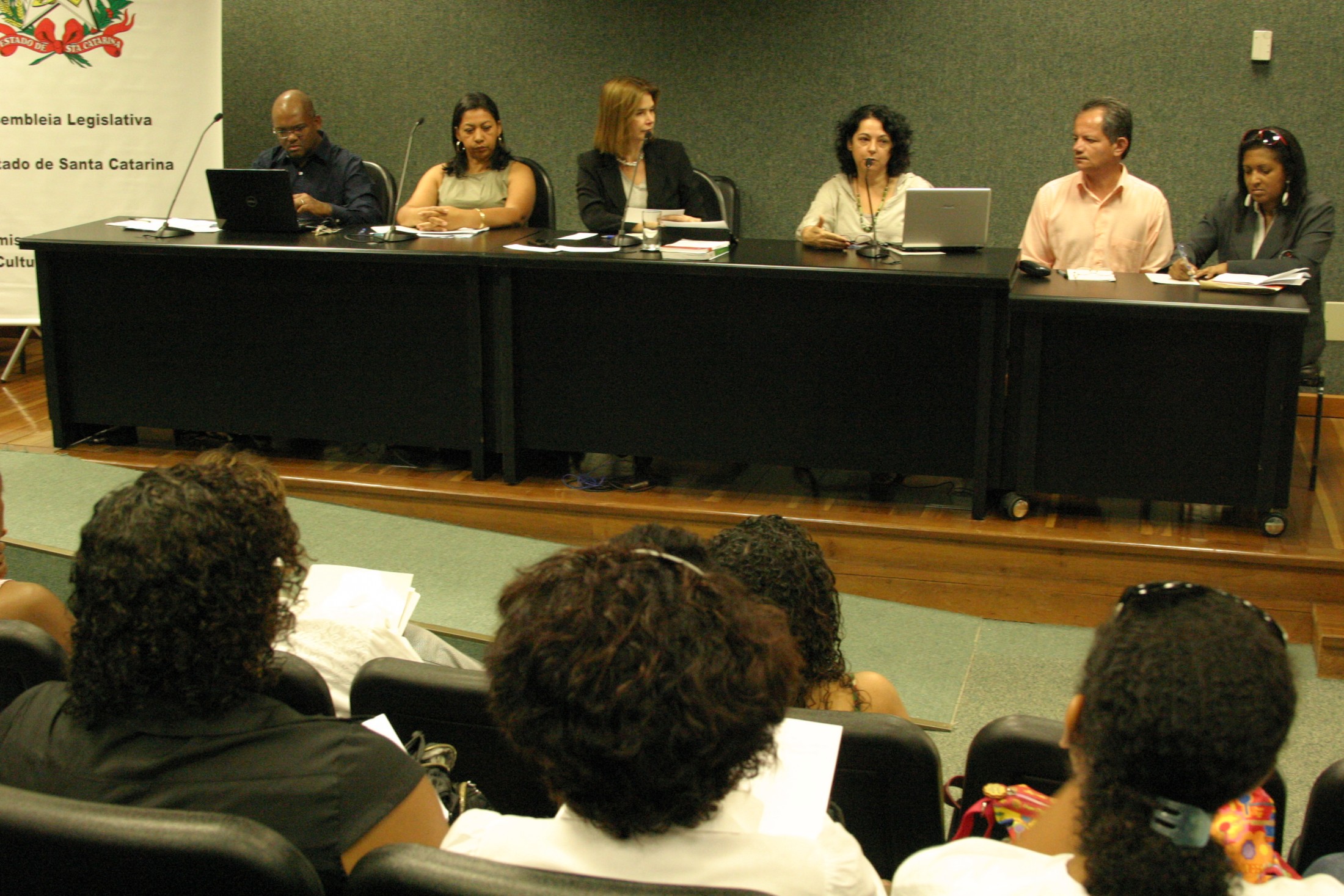 Audiência pública - Currículos oficiais da rede de ensino com a obrigatoriedade das temáticas História e Cultura Afro-Brasileira e Indígena