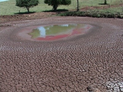 Estiagem em SC pode acarretar perda de mais de 20% da produção agrícola