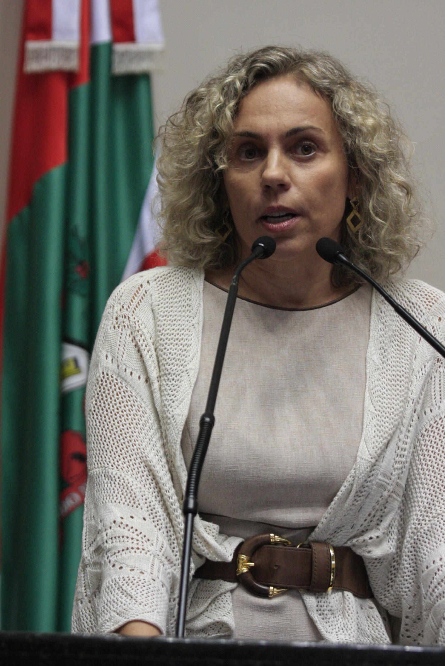 Deputada Ana Paula Lima (PT)