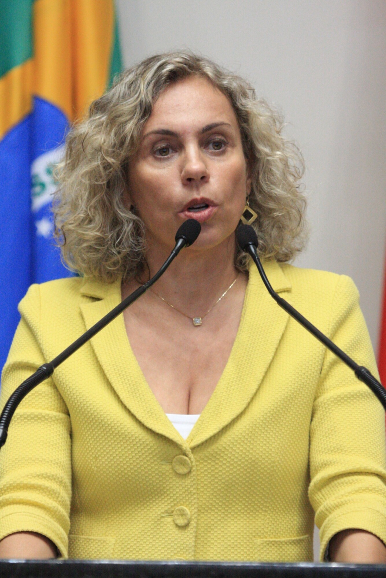Ana Paula Lima destacou o tema “adoção”