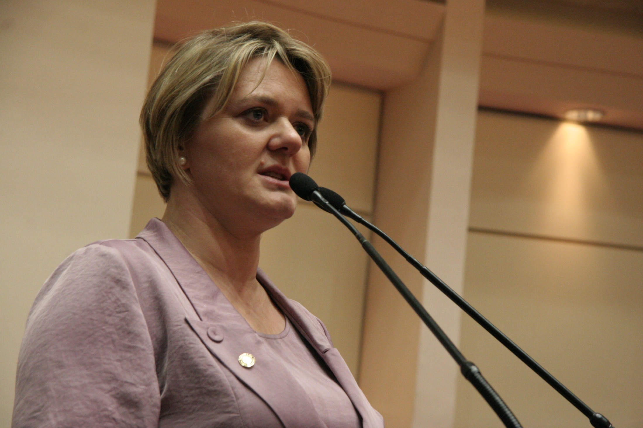 Deputada Luciane Carminatti (PT)