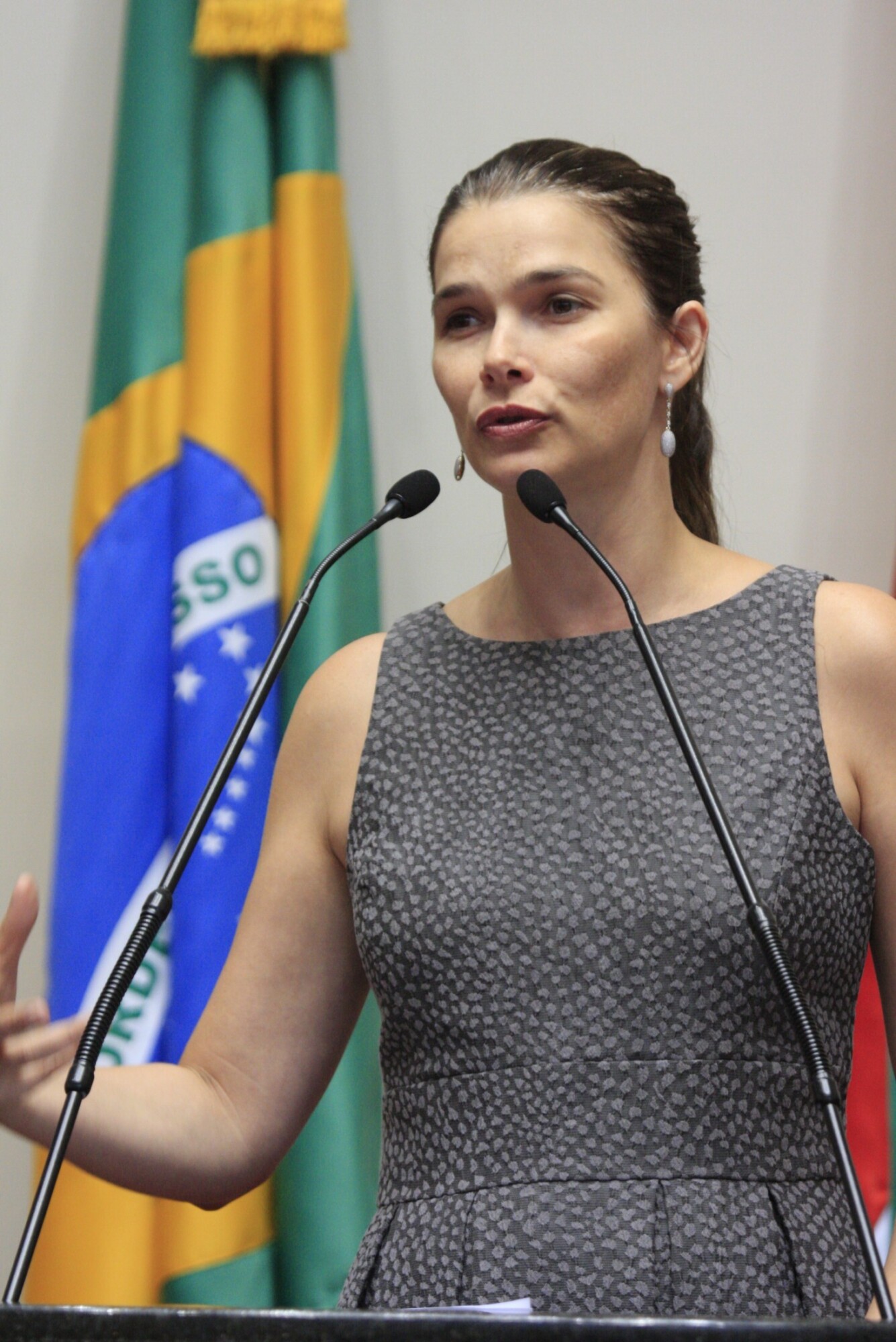 CPMI que investigará violência contra a mulher virá a Santa Catarina