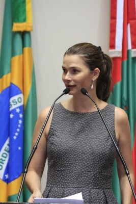 Deputada comenta mudanças na Lei Maria da Penha