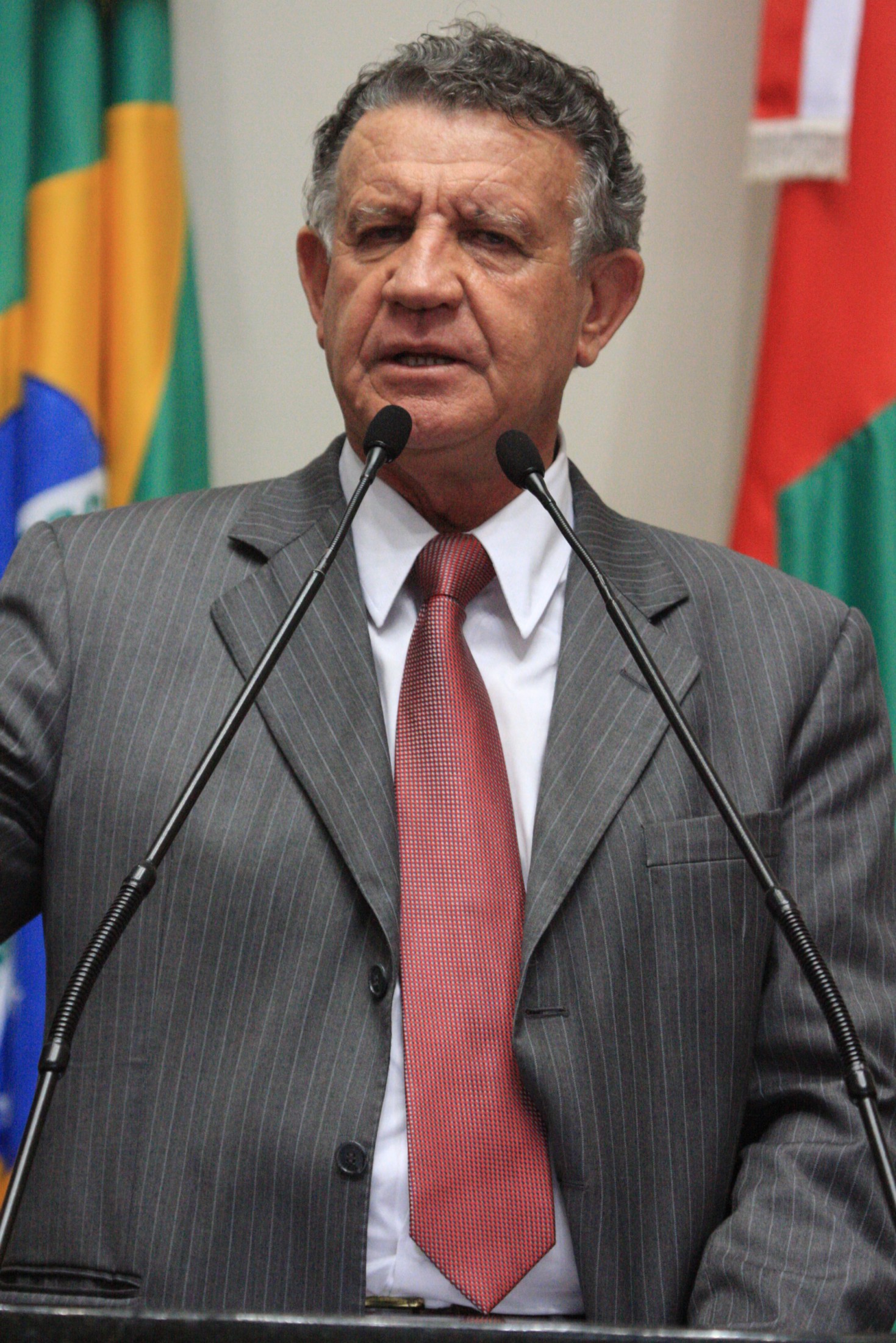 Deputado Edison Andrino (PMDB)