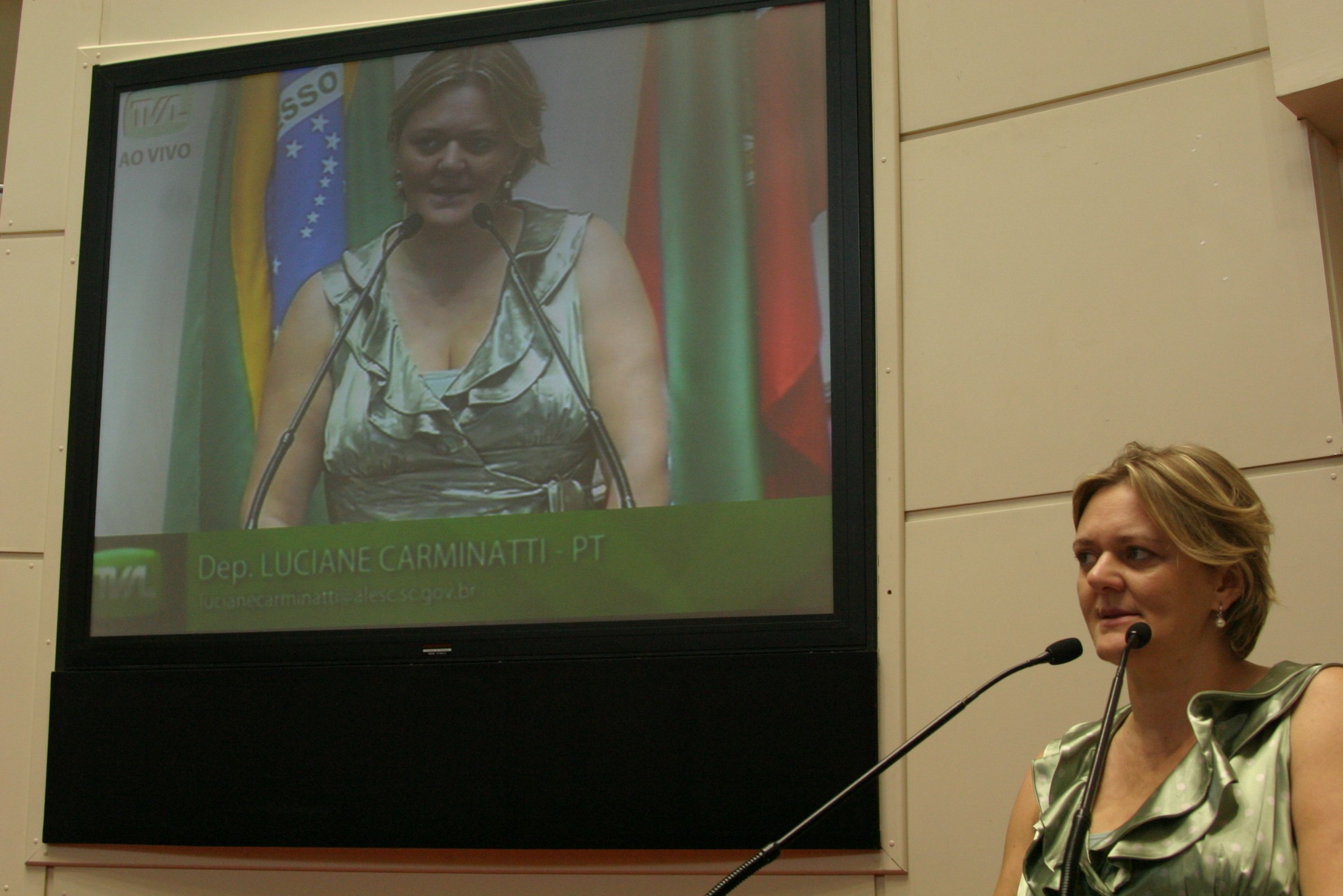Deputada Luciane Carminatti (PT)