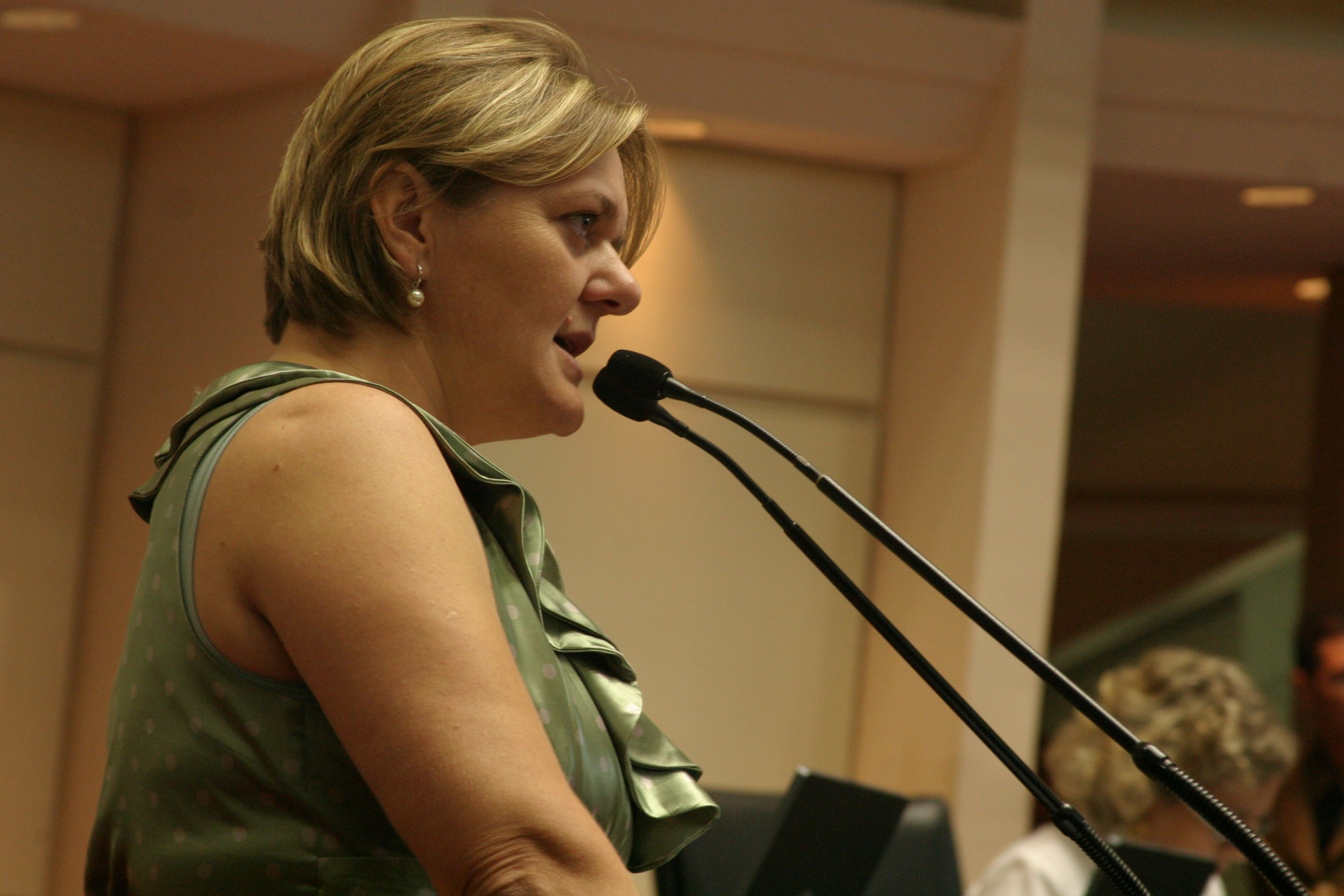 Sessão Ordinária - Plenário Deputado Osni Régis - Deputada Luciane Carminatti (PT)