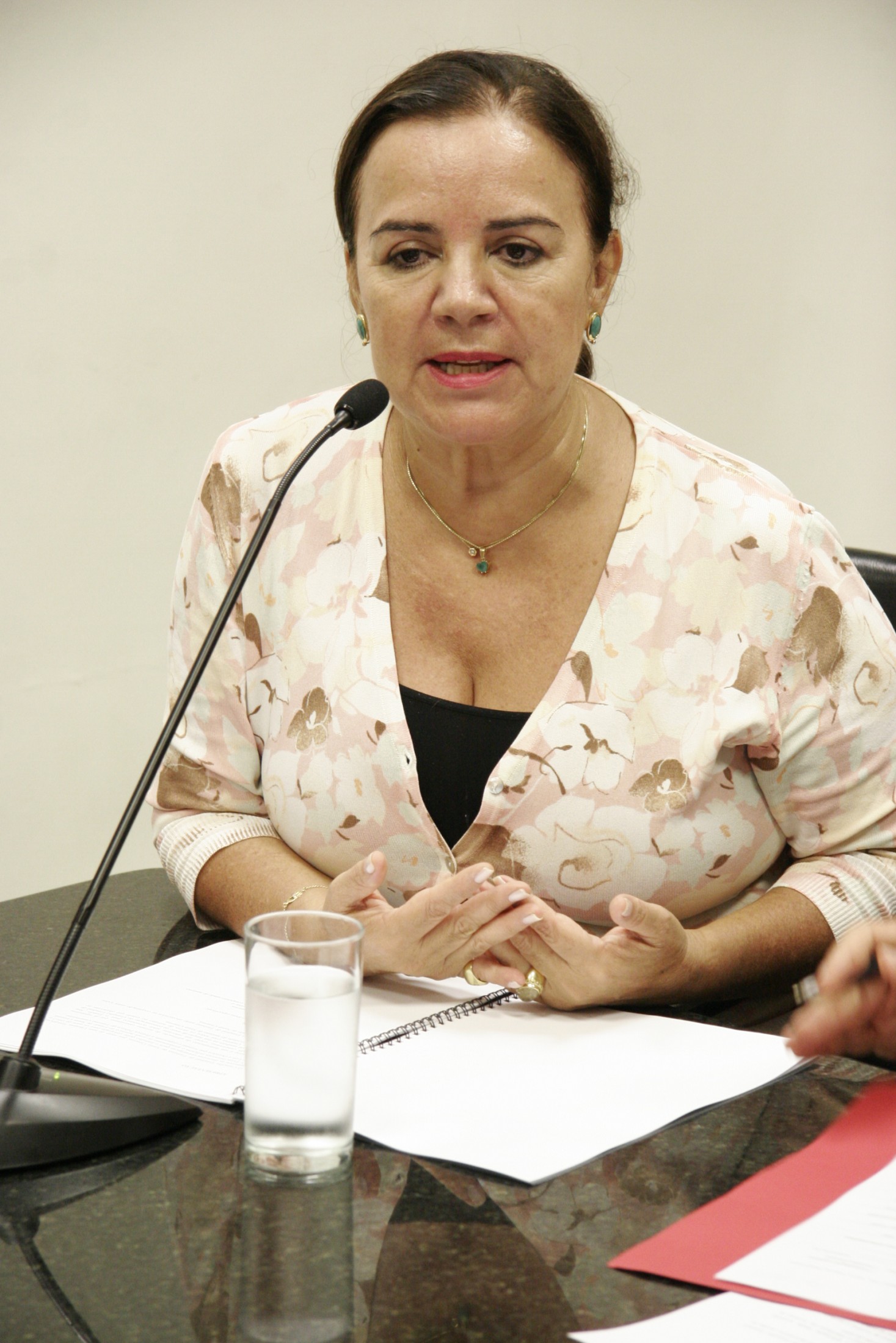 Jô Cintra Pres. do Conselho Estadual de Turismo