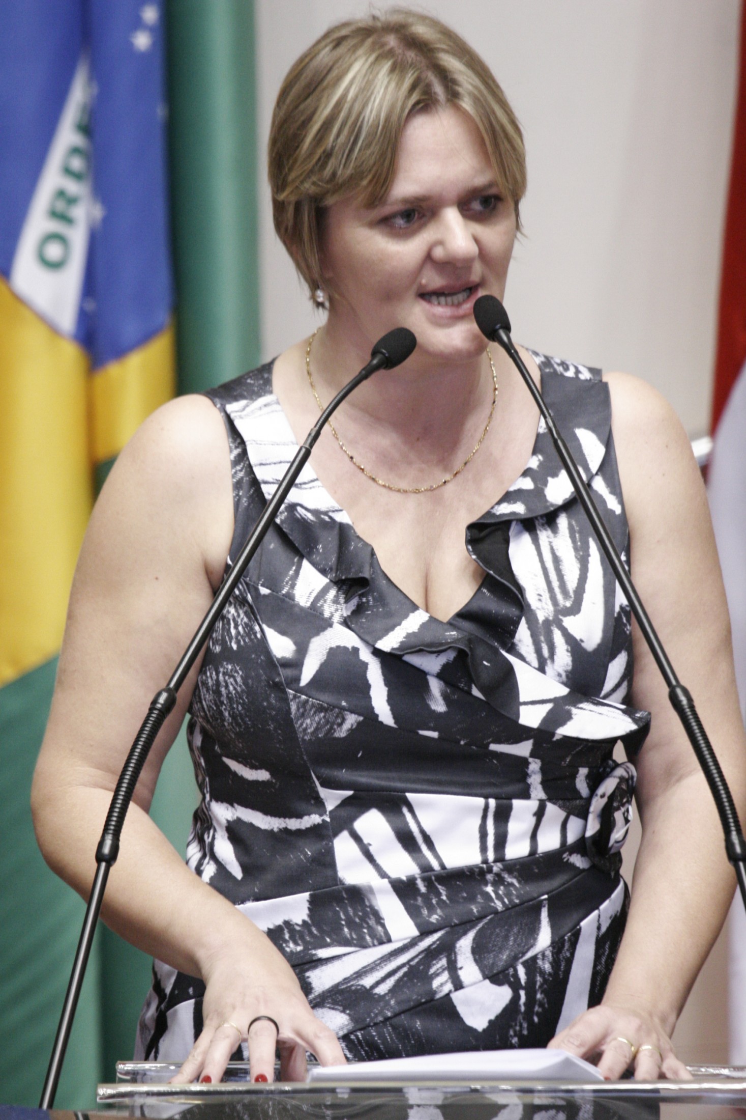 Deputada Luciane Carminatti (PT)