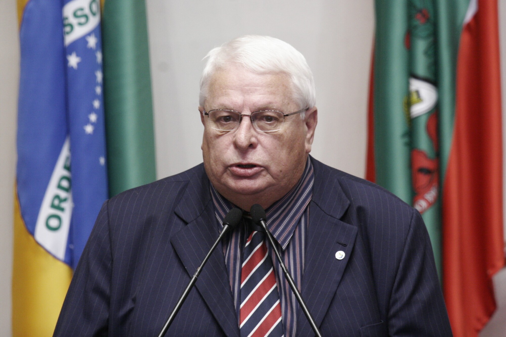 Presidente da Eletrosul pede apoio parlamentar à prorrogação das concessões do setor elétrico