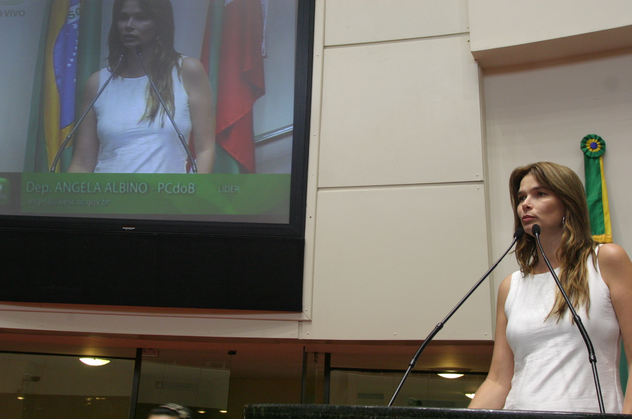 Deputada Angela Albino (PCdoB)