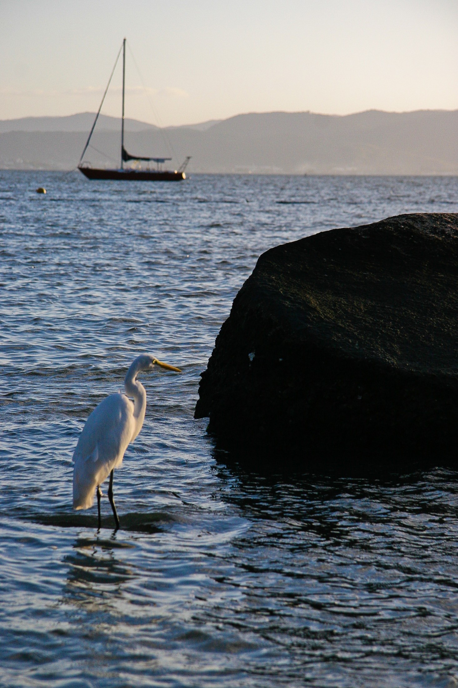 Exposição – Florianópolis como você vê