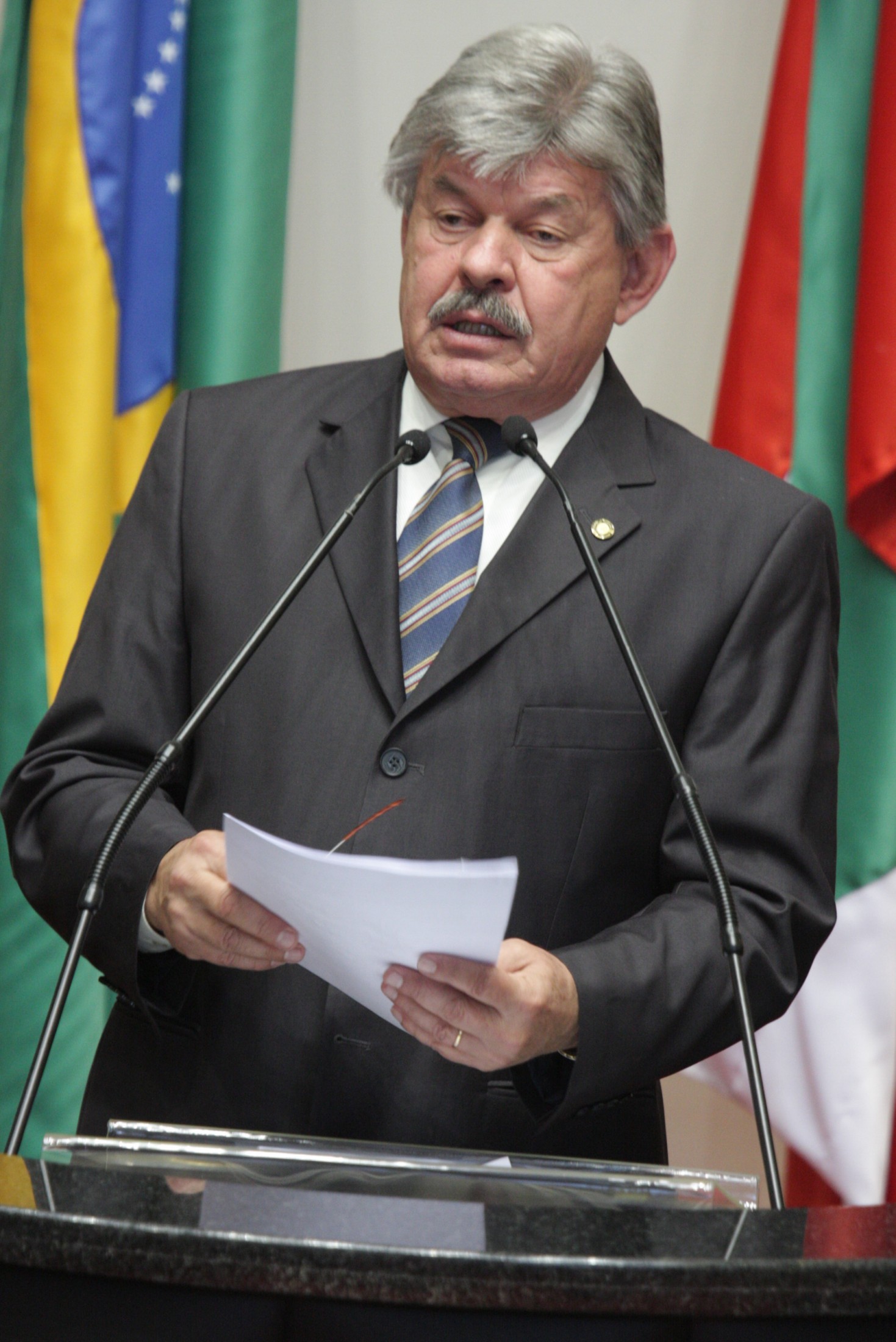 Sessão Ordinária - Plenário Osni Régis - Deputado Reno Caramori (PP)