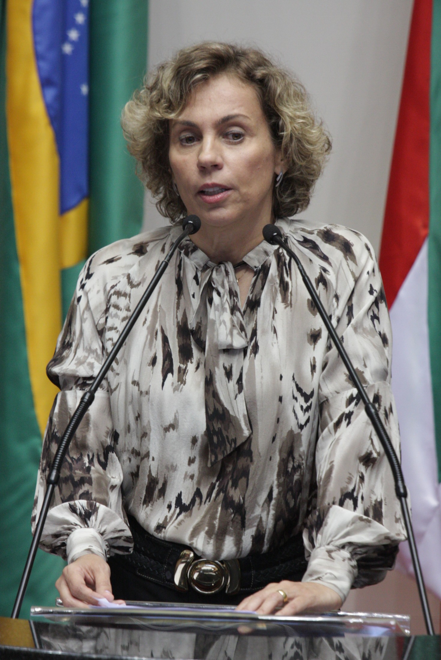 Sessão Ordinária - Plenário Osni Régis - Deputada Ana Paula Lima (PT)