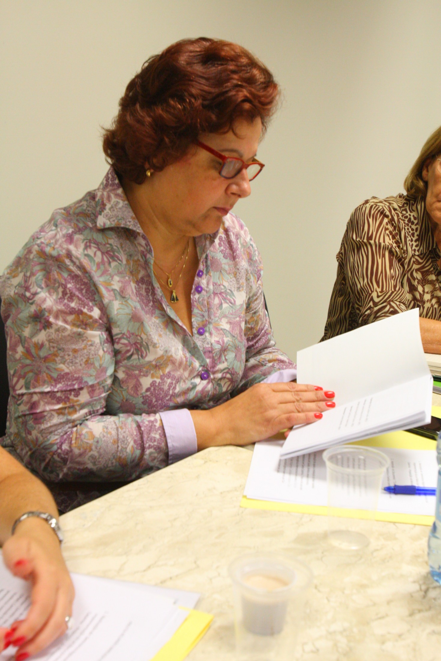 Reunião com a Bancada Feminina