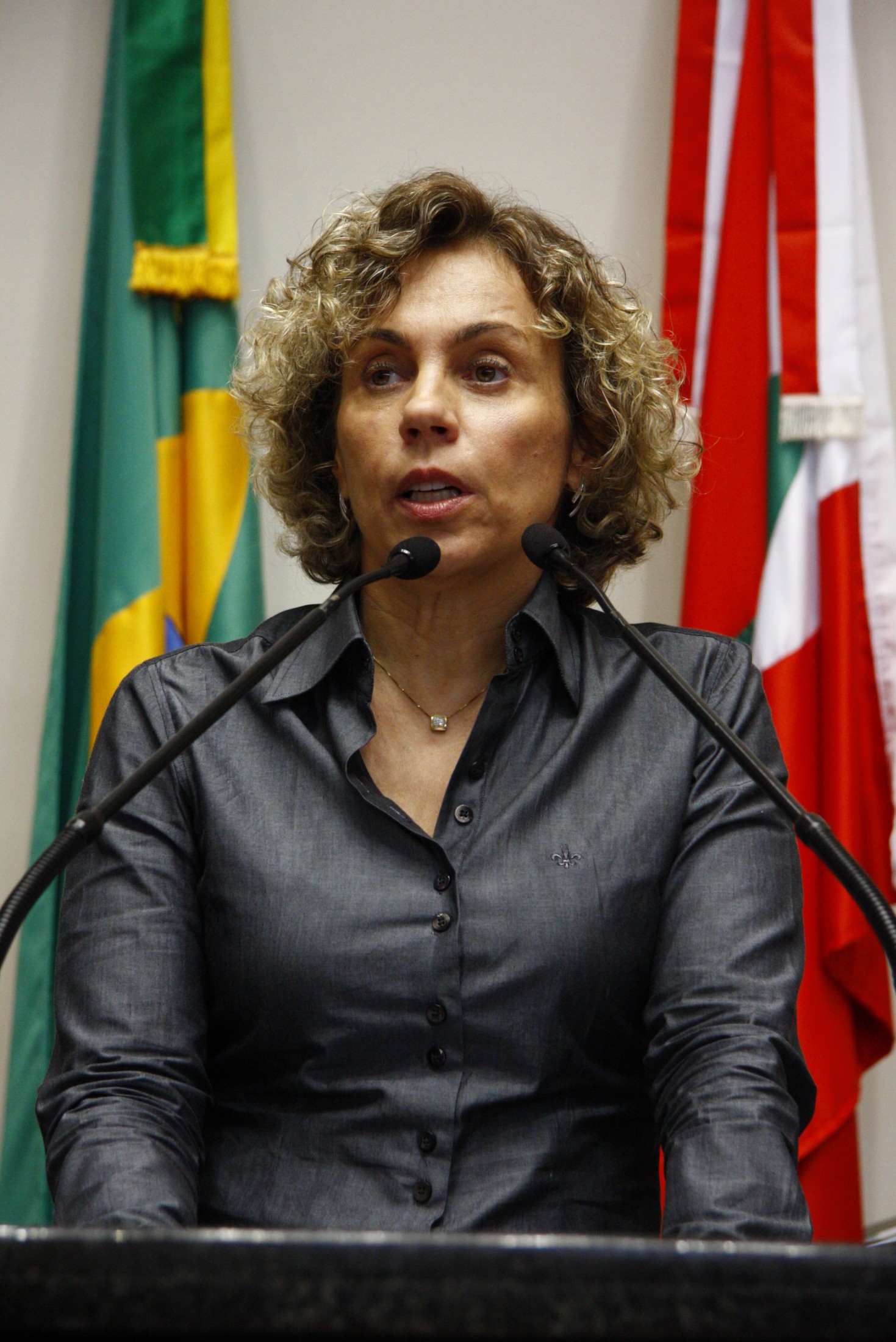 Deputada Ana Paula Lima (PT)